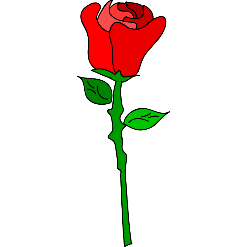 Cartoon Rose Wallpapers