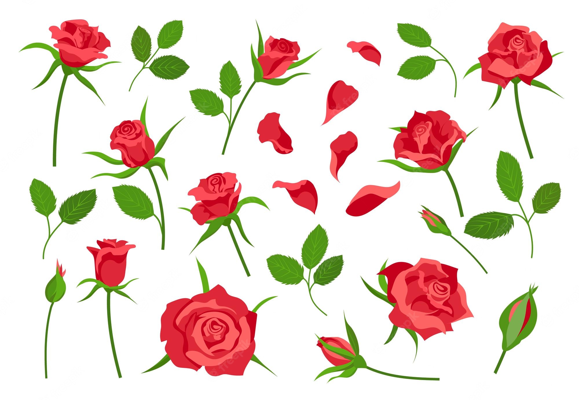 Cartoon Rose Wallpapers