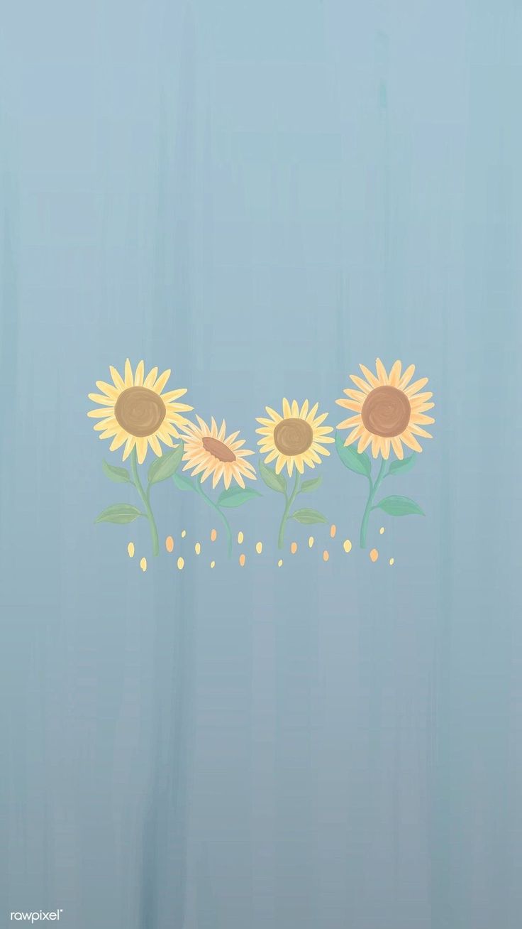 Cartoon Sunflower Wallpapers