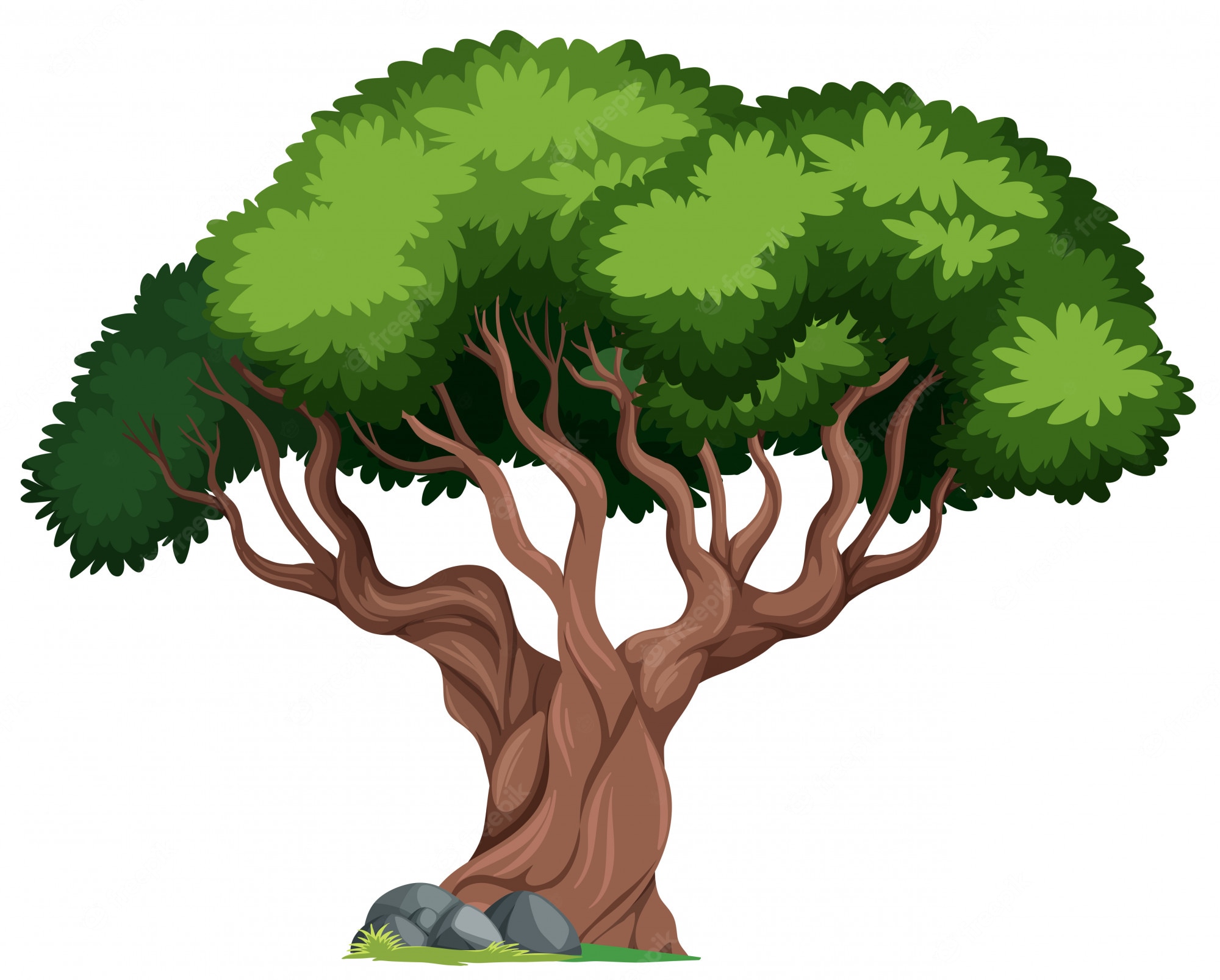 Cartoon Trees Wallpapers