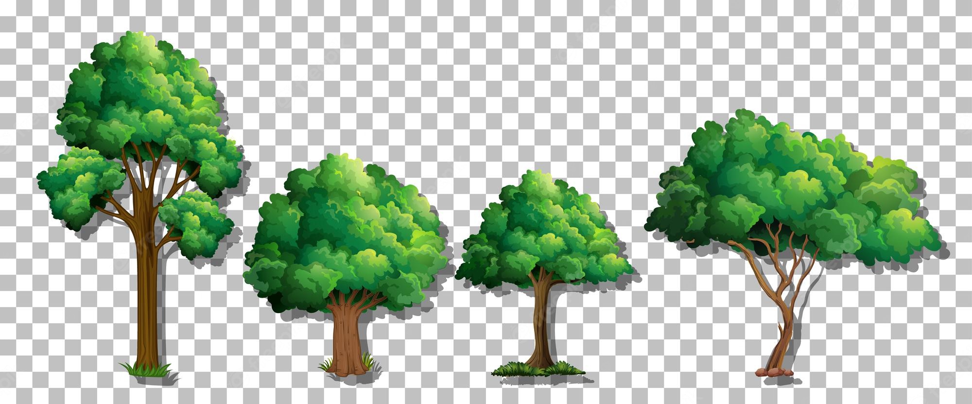 Cartoon Trees Wallpapers