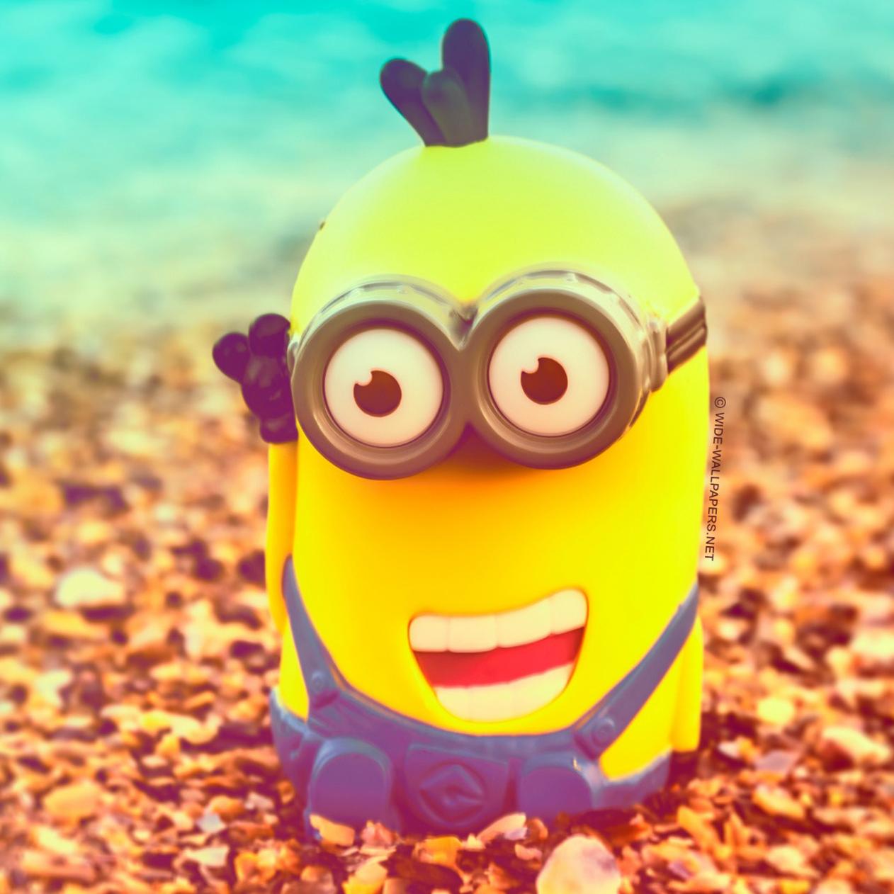 Minions Love Wallpapers