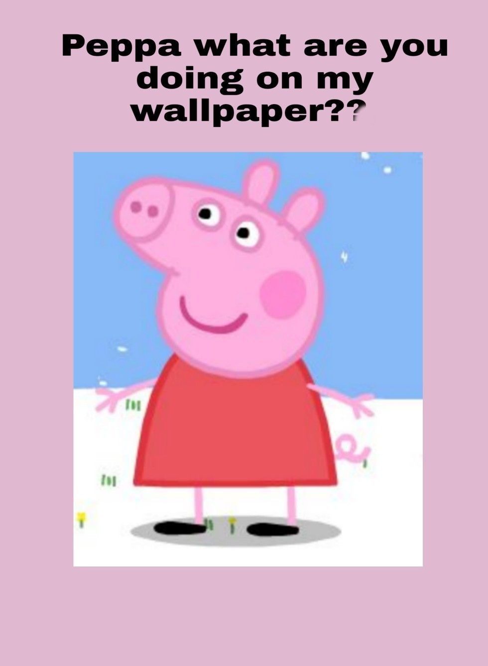 Peppa Pig Meme Wallpapers