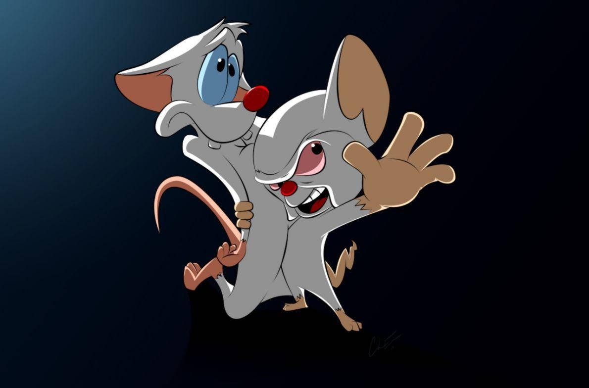 Pinky And The Brain Wallpapers