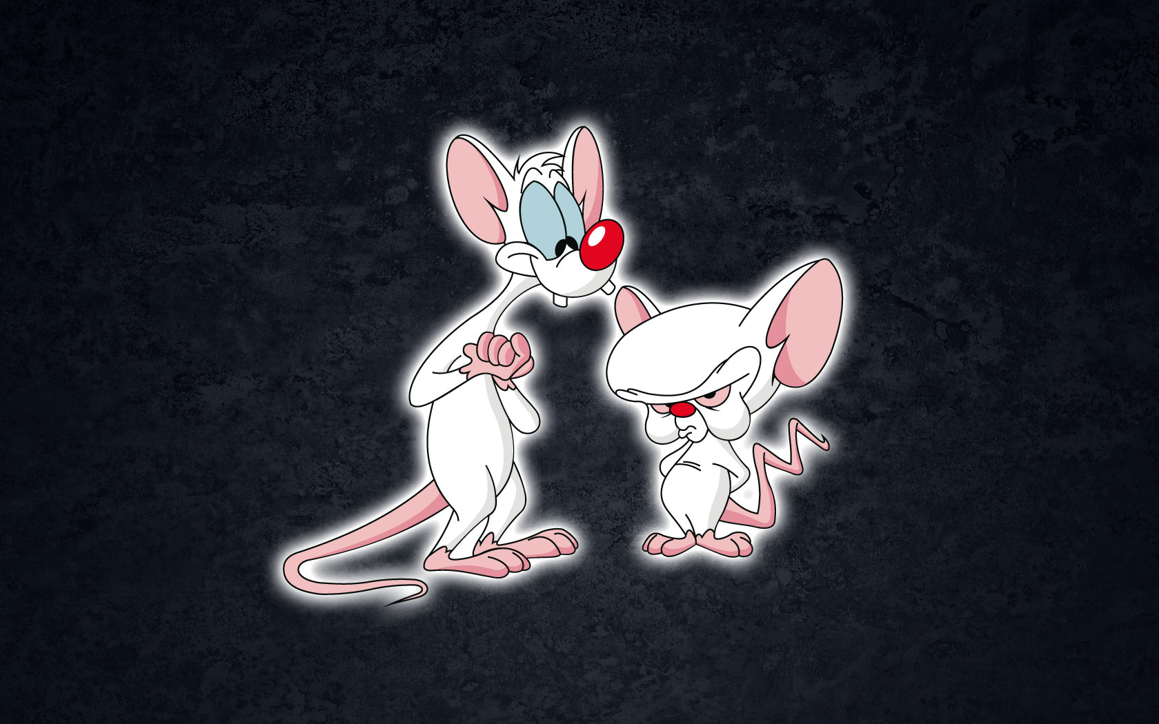 Pinky And The Brain Wallpapers