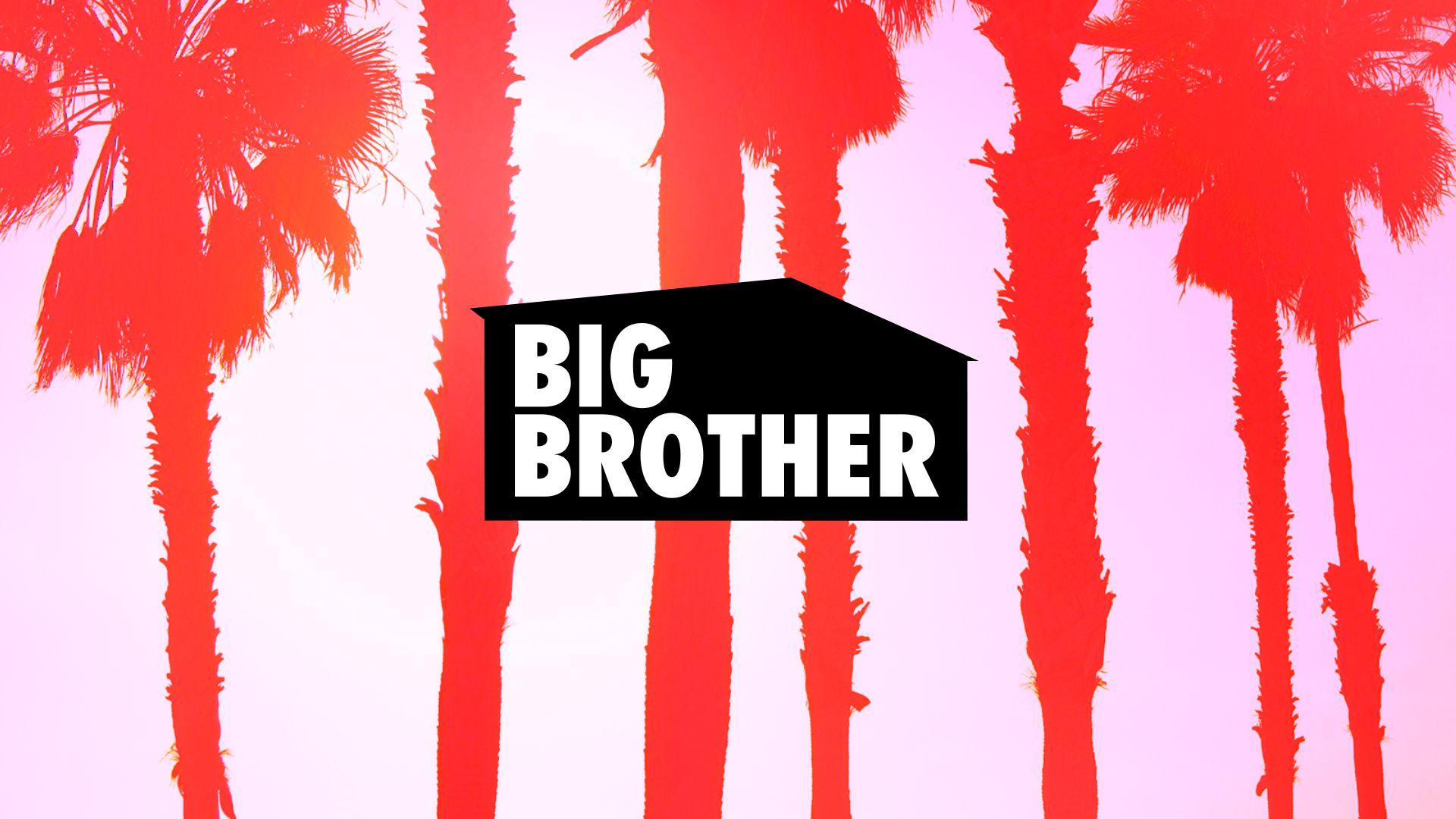 Big Brother Brasil Wallpapers