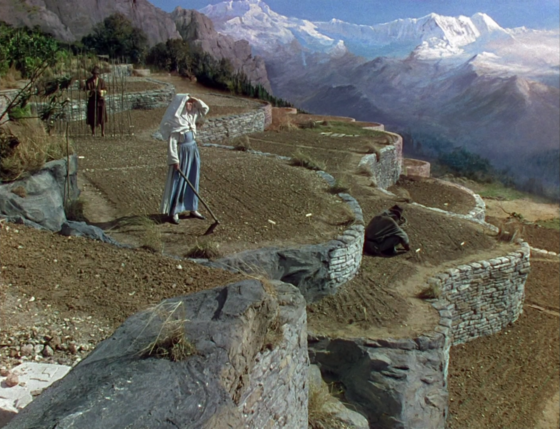 Black Narcissus Wallpapers