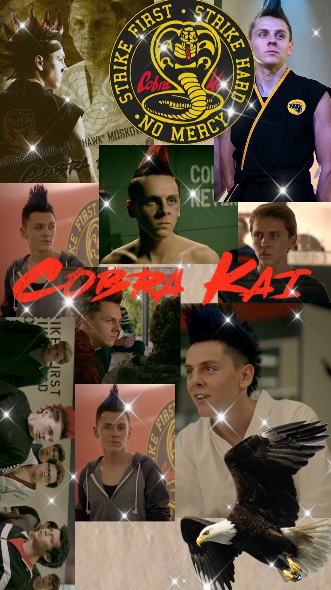 Cobra Kai 2020 Wallpapers