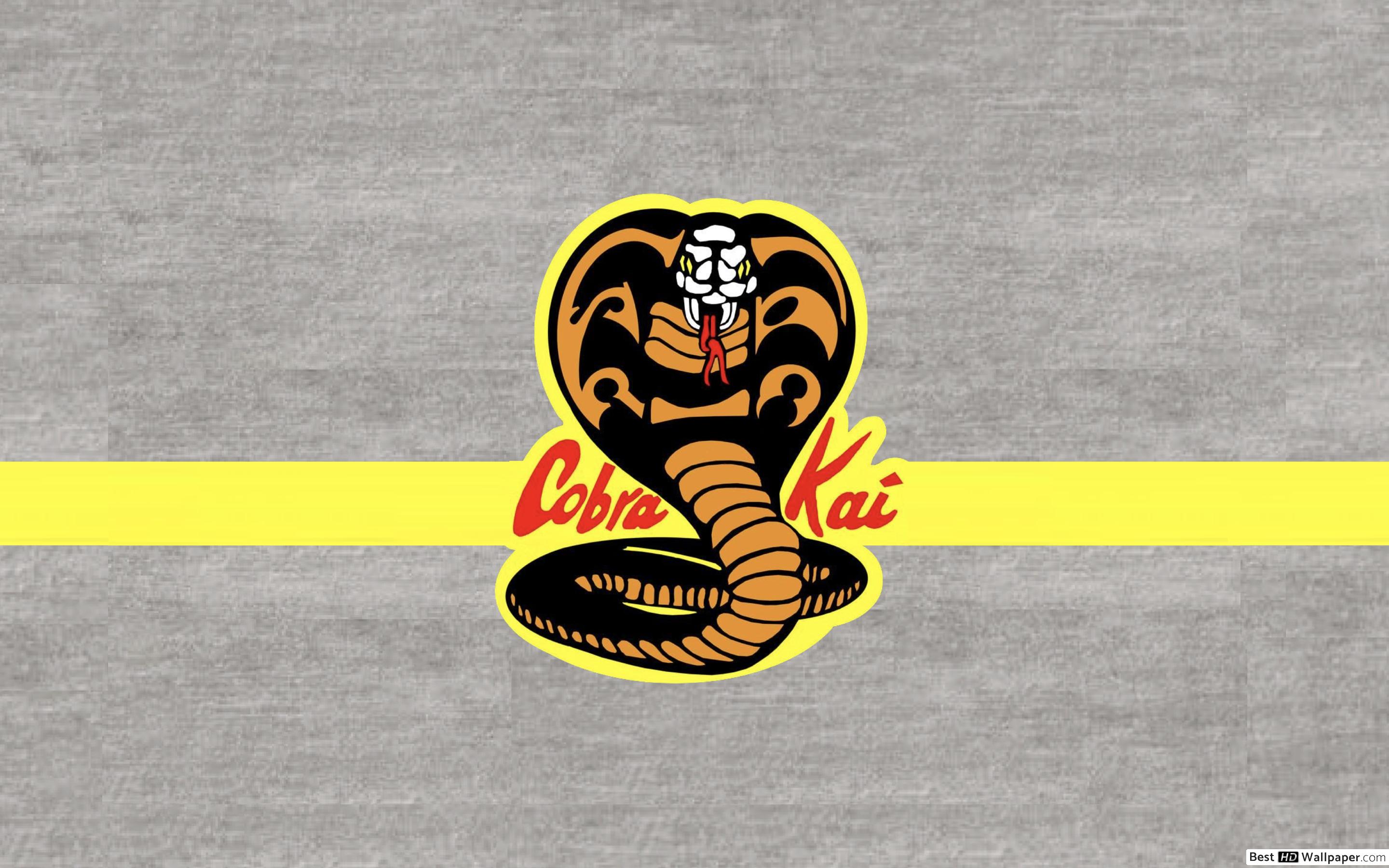 Cobra Kai Computer Wallpapers