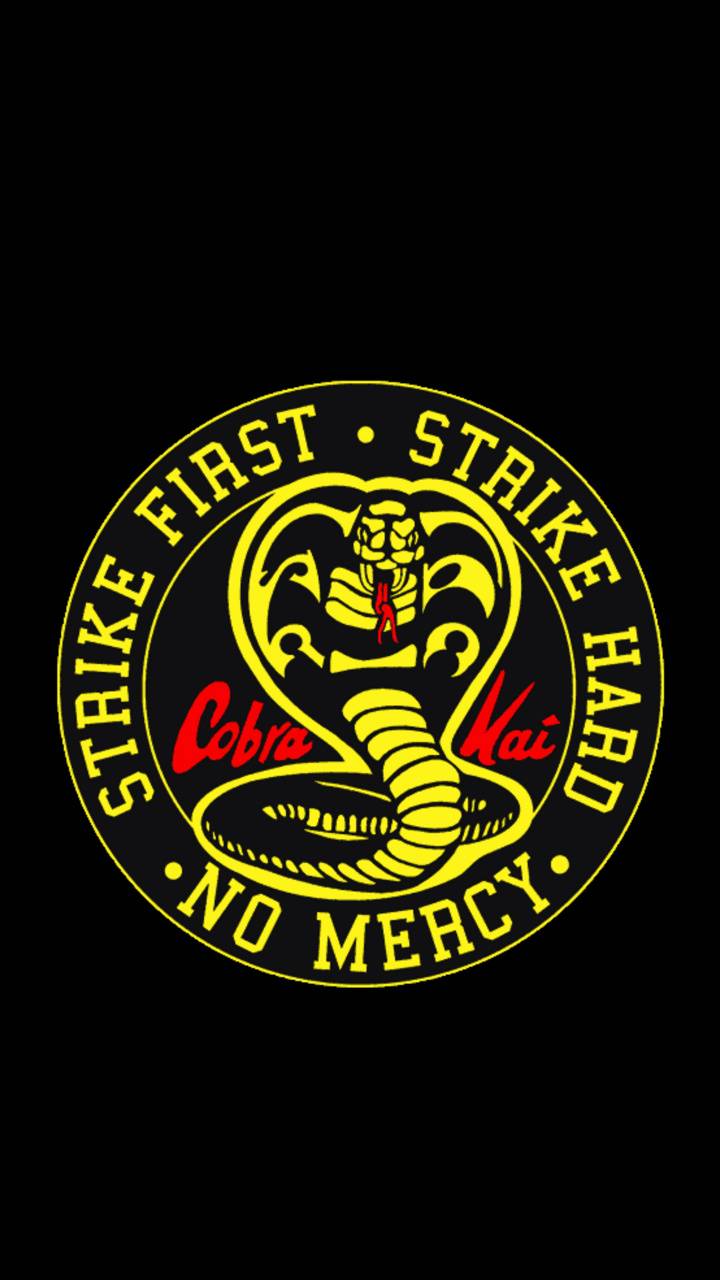 Cobra Kai Computer Wallpapers