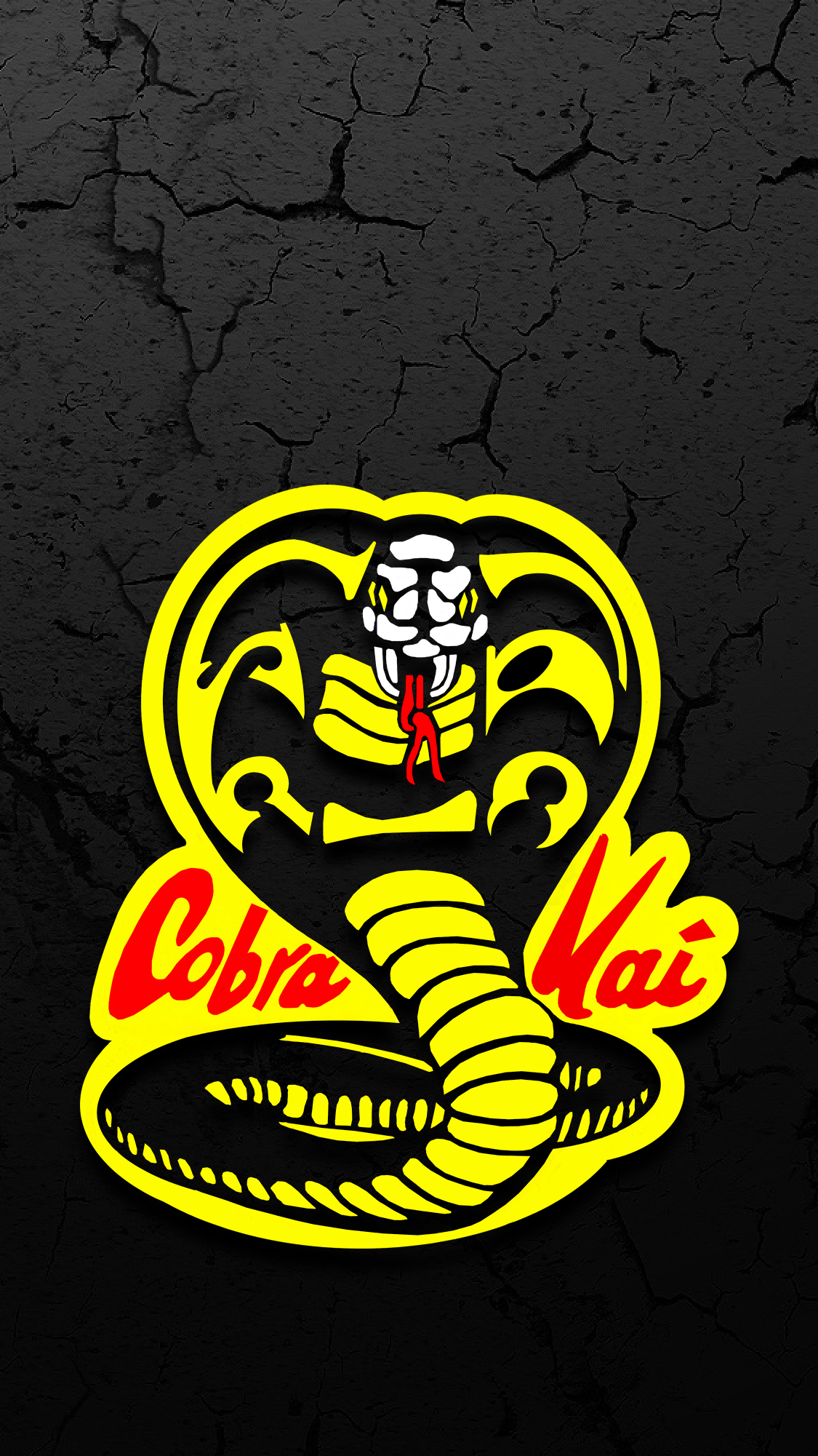 Cobra Kai Computer Wallpapers