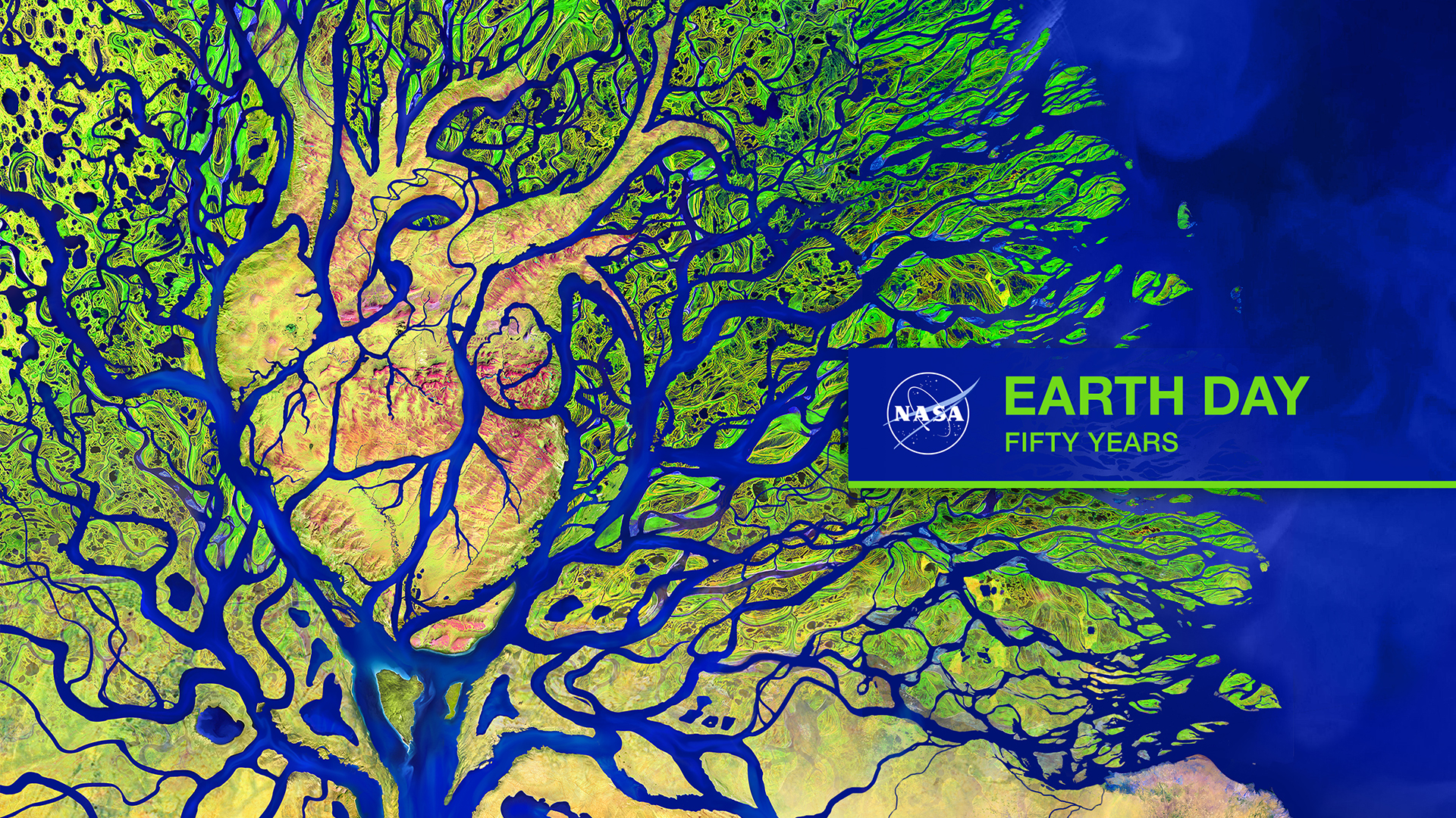 Earth To Ned Wallpapers