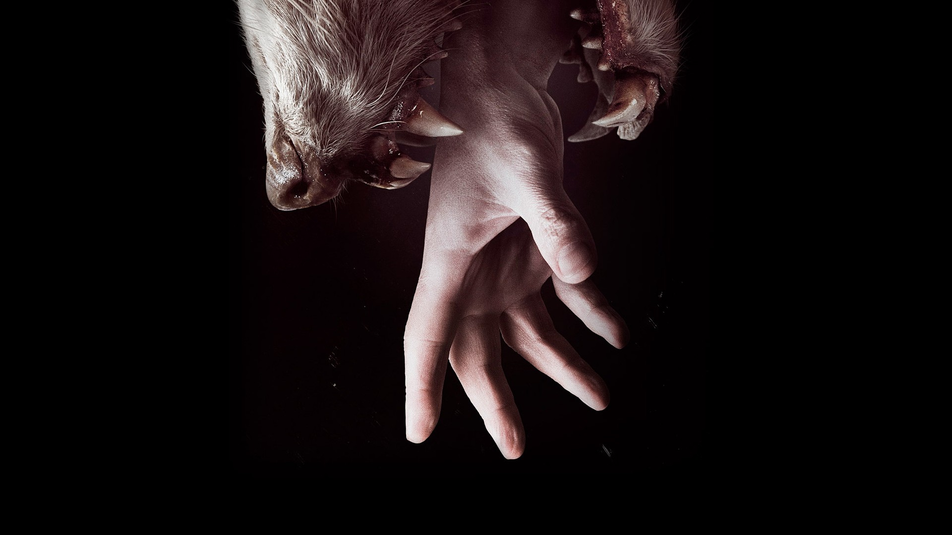 Hemlock Grove Wallpapers