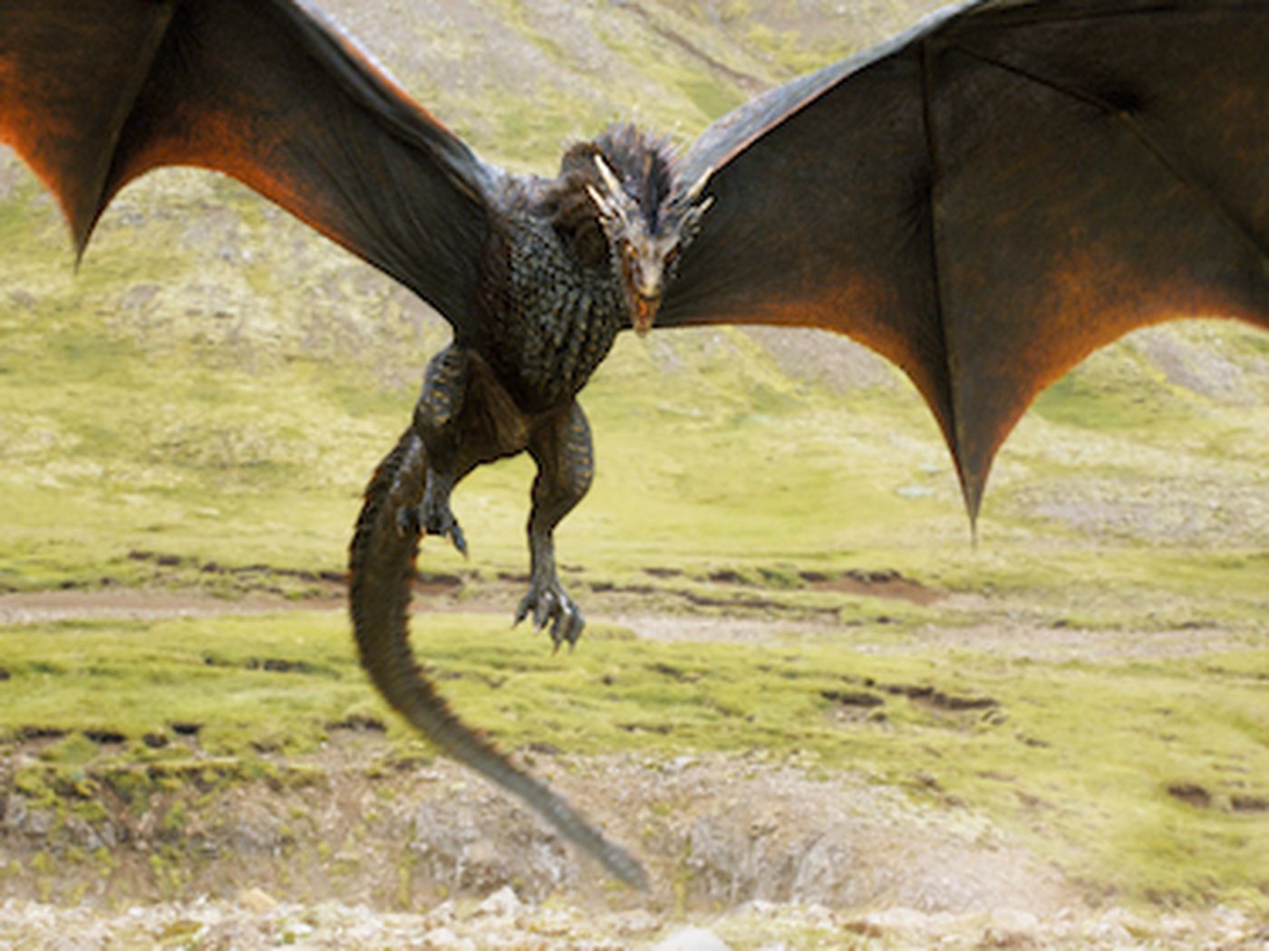 Jon Snow Flying Dragon Image Wallpapers