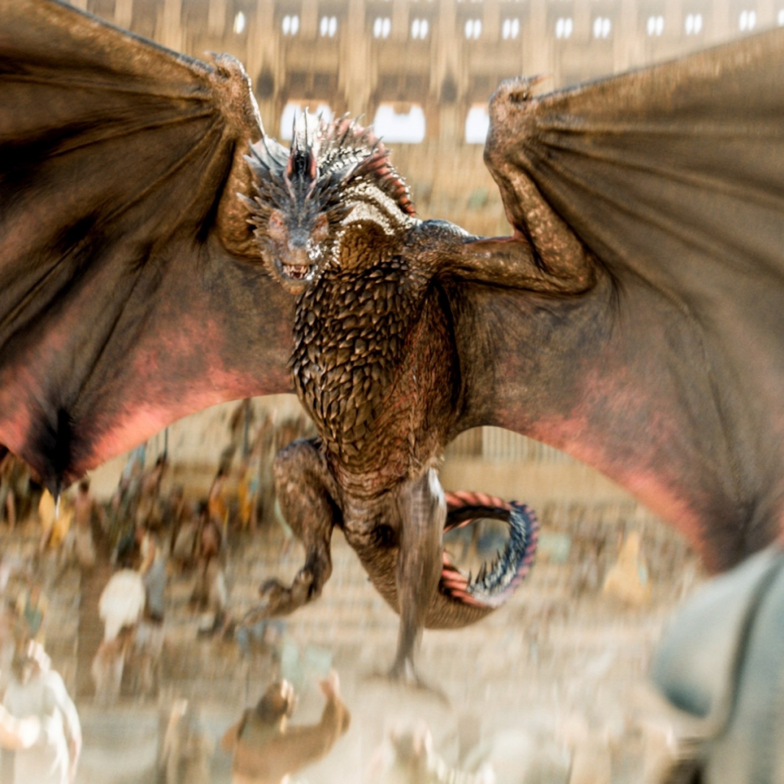 Jon Snow Flying Dragon Image Wallpapers