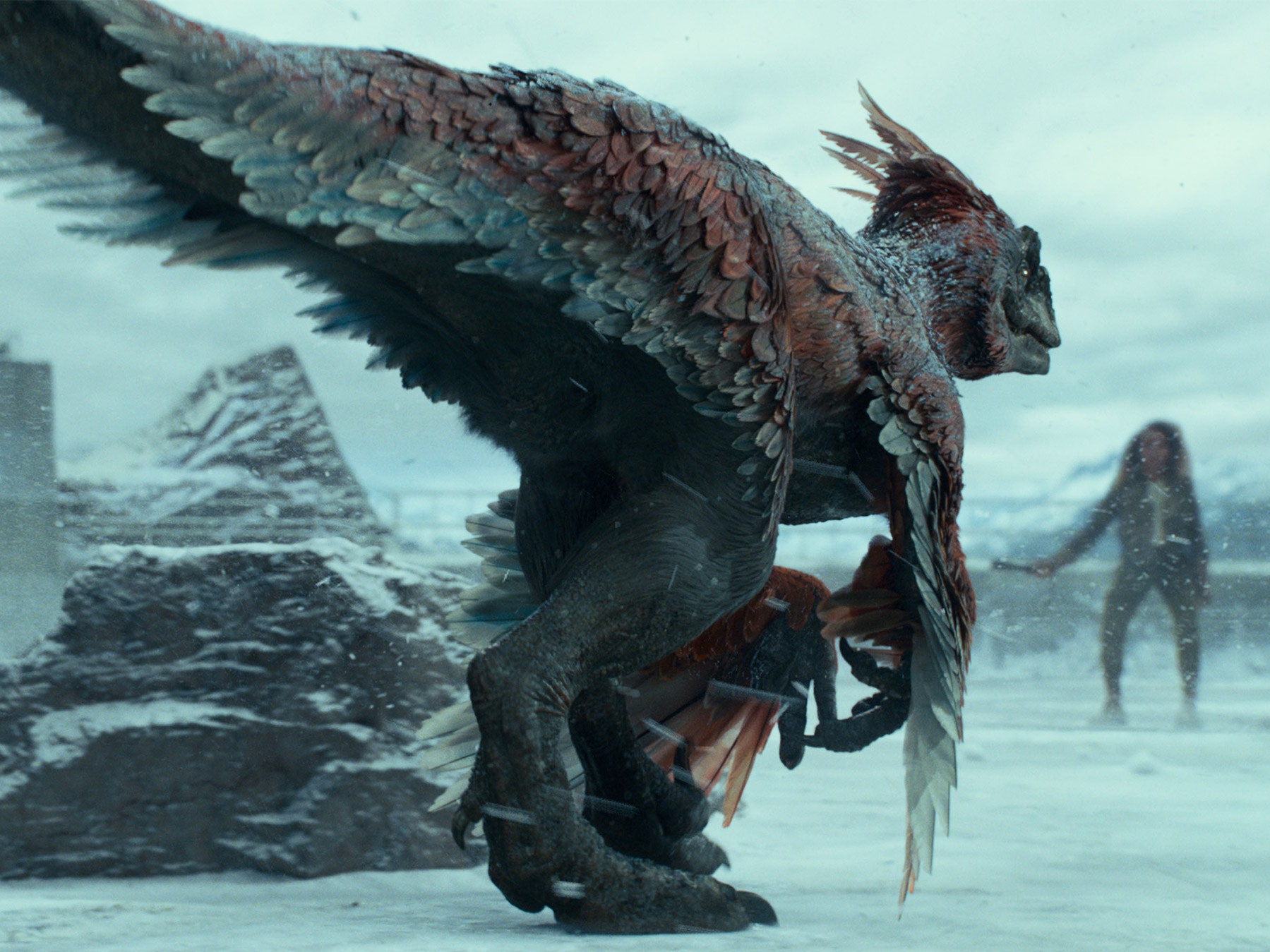 Jon Snow Flying Dragon Image Wallpapers