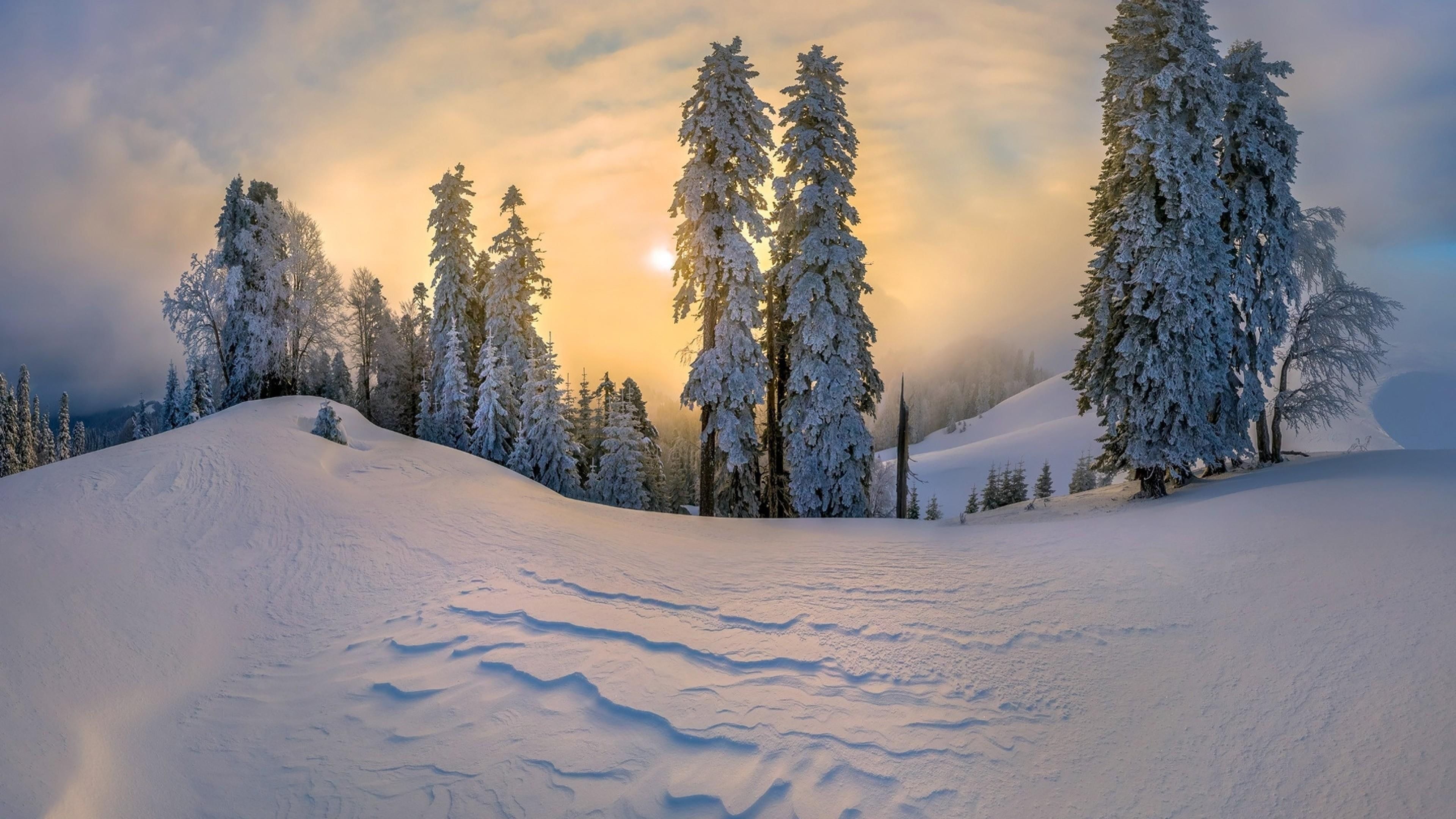 Low Winter Sun Wallpapers