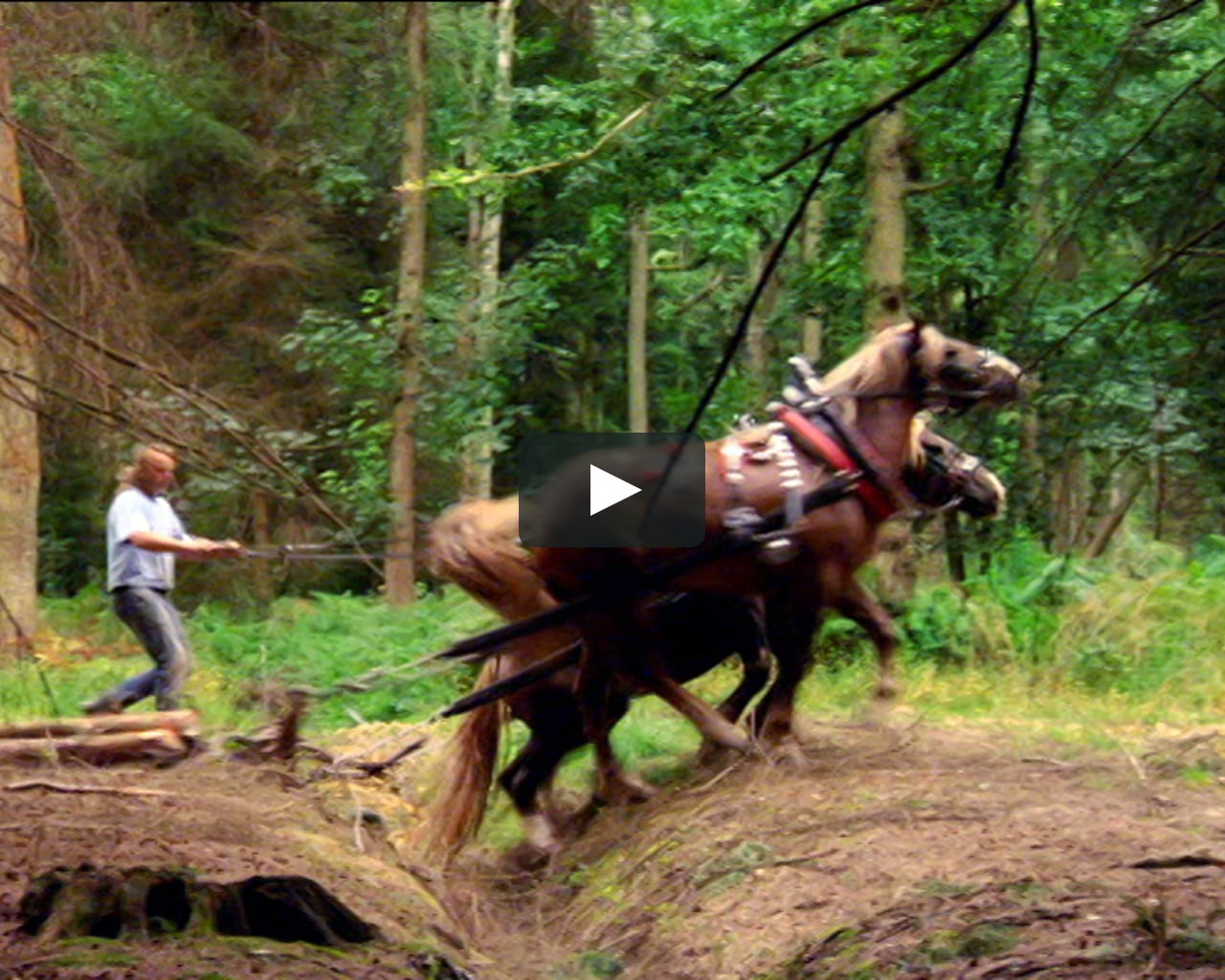 Martin Clunes: Horsepower Wallpapers