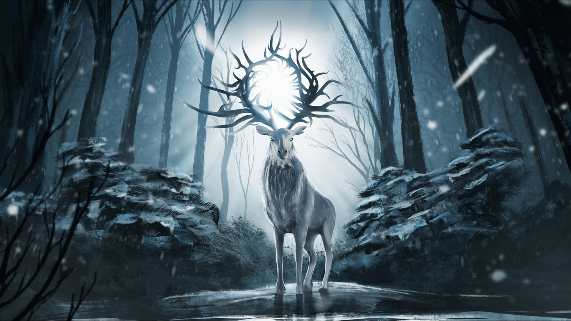 Netflix Shadow And Bone Cast Wallpapers