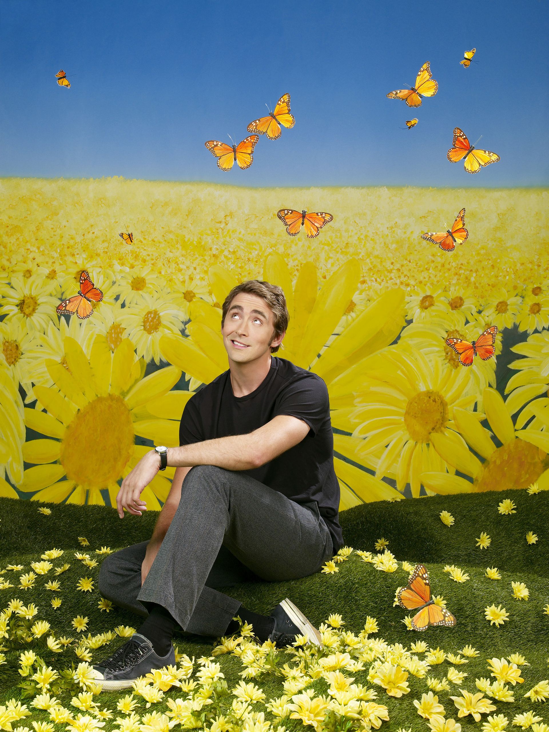 Pushing Daisies Wallpapers