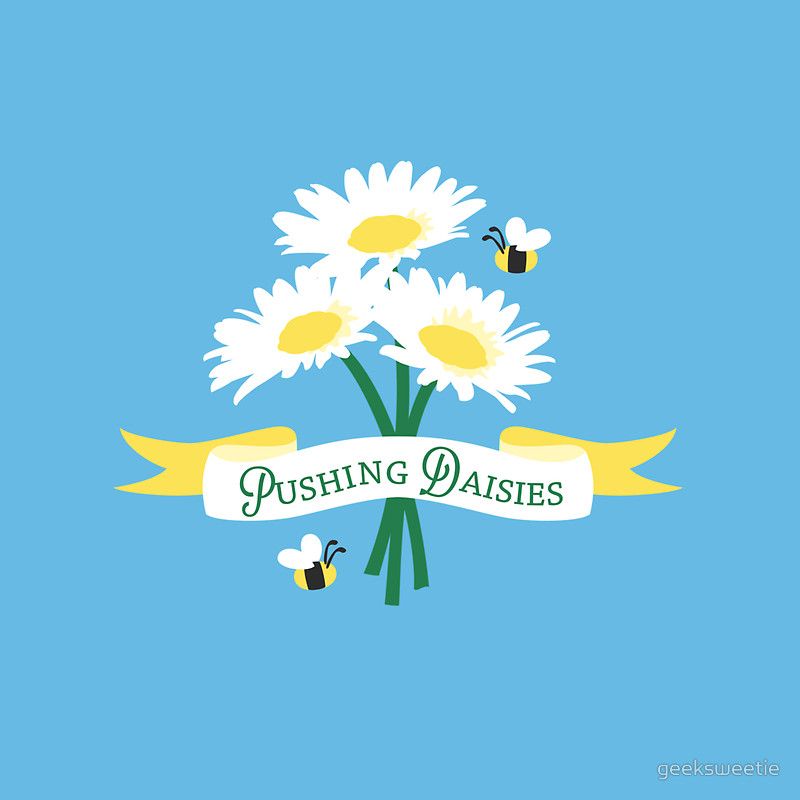 Pushing Daisies Wallpapers