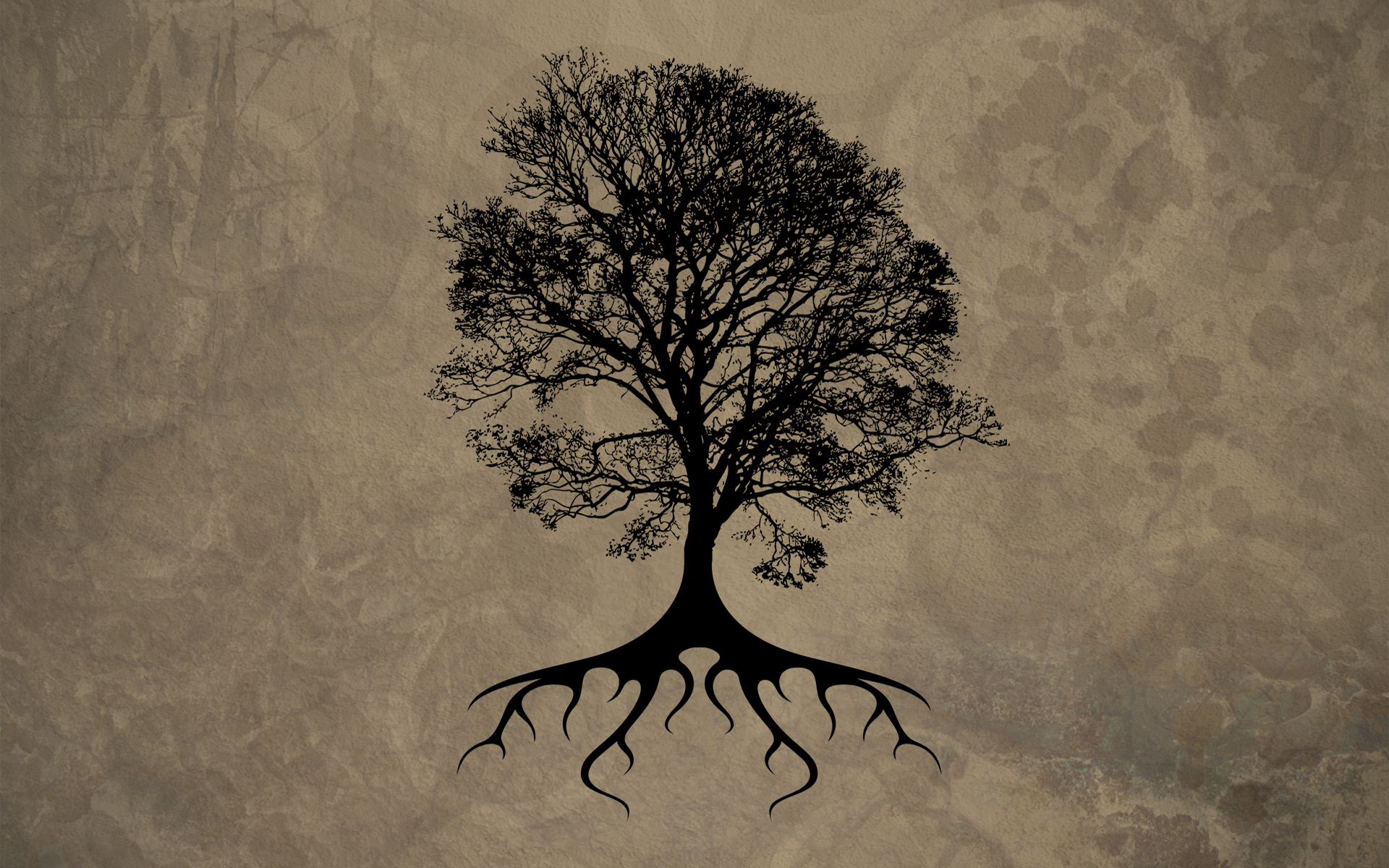 Roots Wallpapers