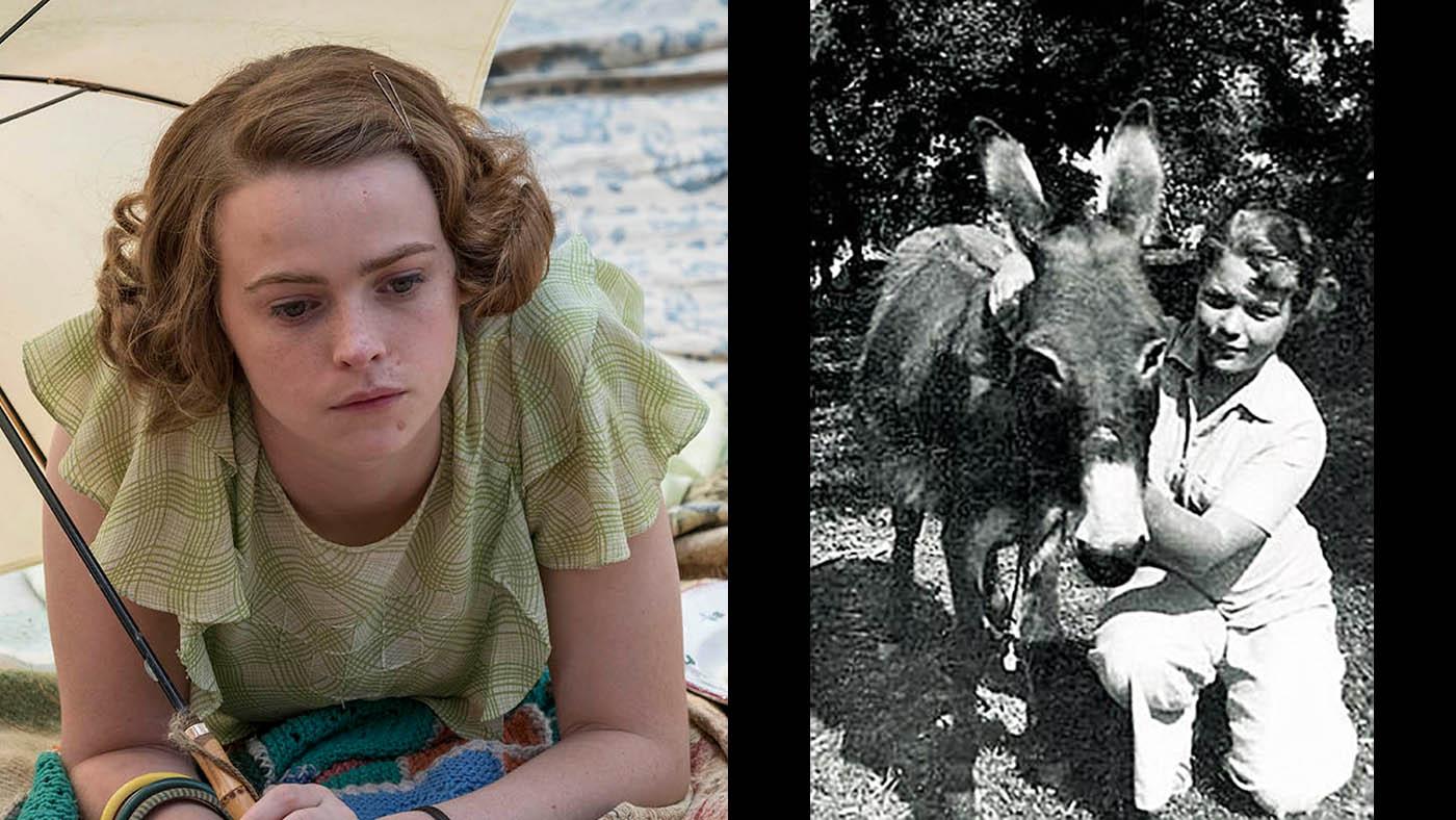 The Durrells Wallpapers