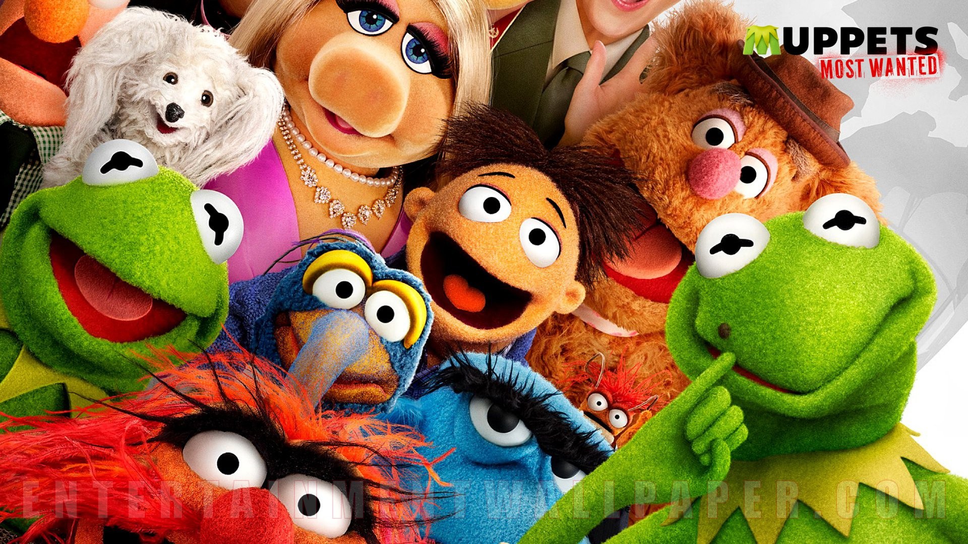 The Muppet Show Wallpapers