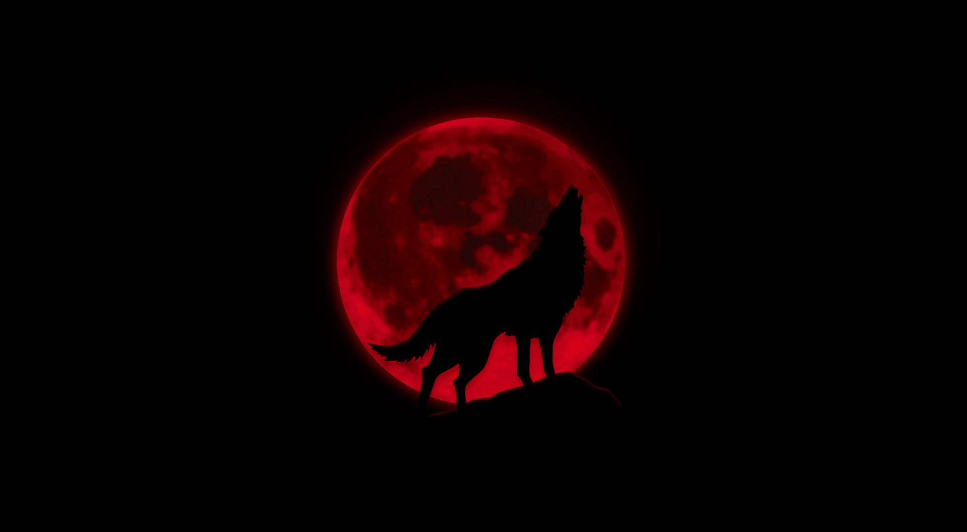 The Wolf Wallpapers