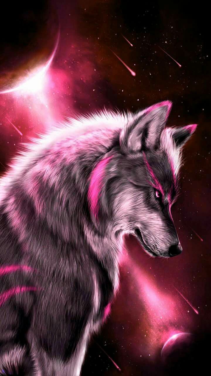 The Wolf Wallpapers