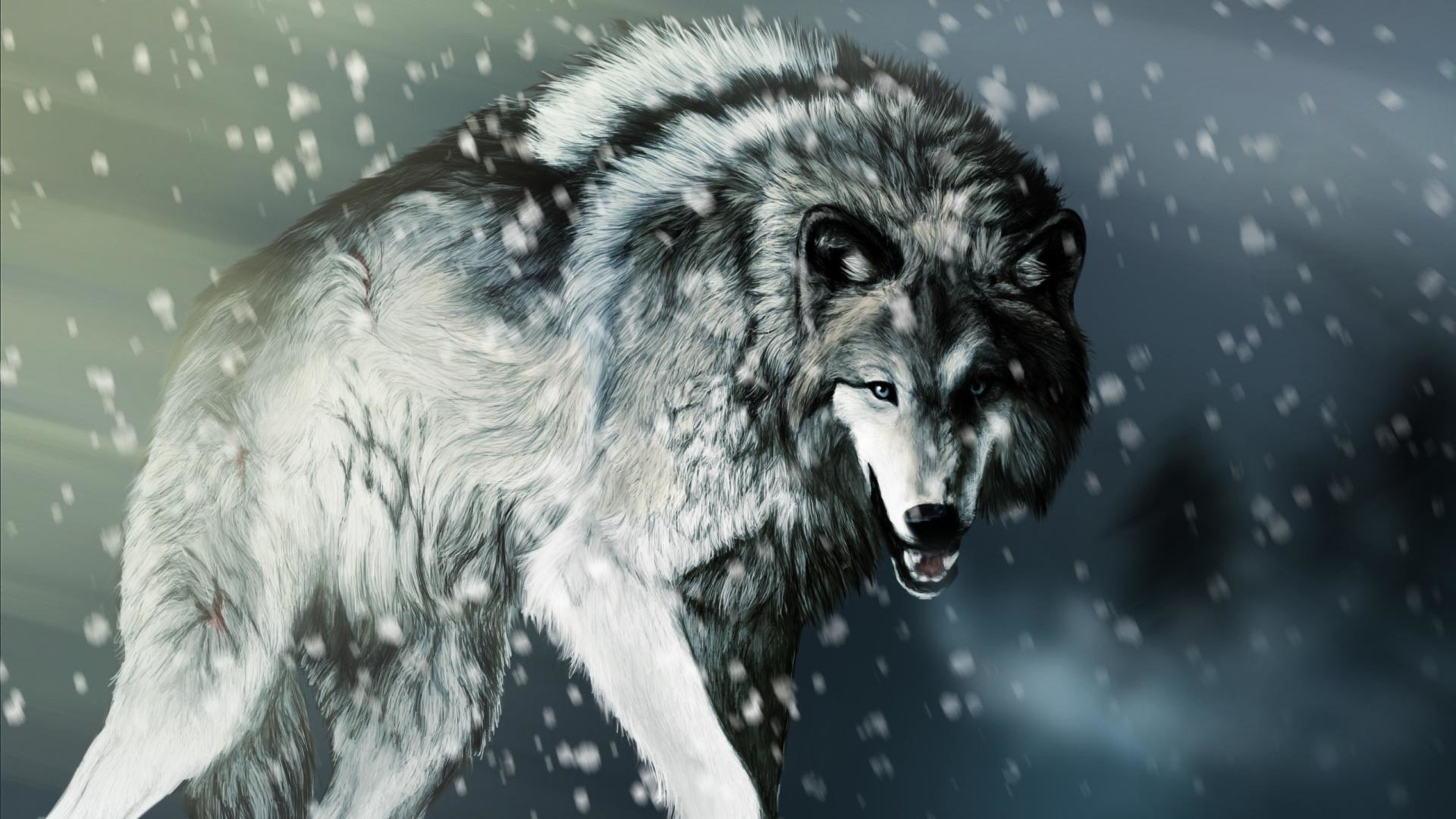 The Wolf Wallpapers