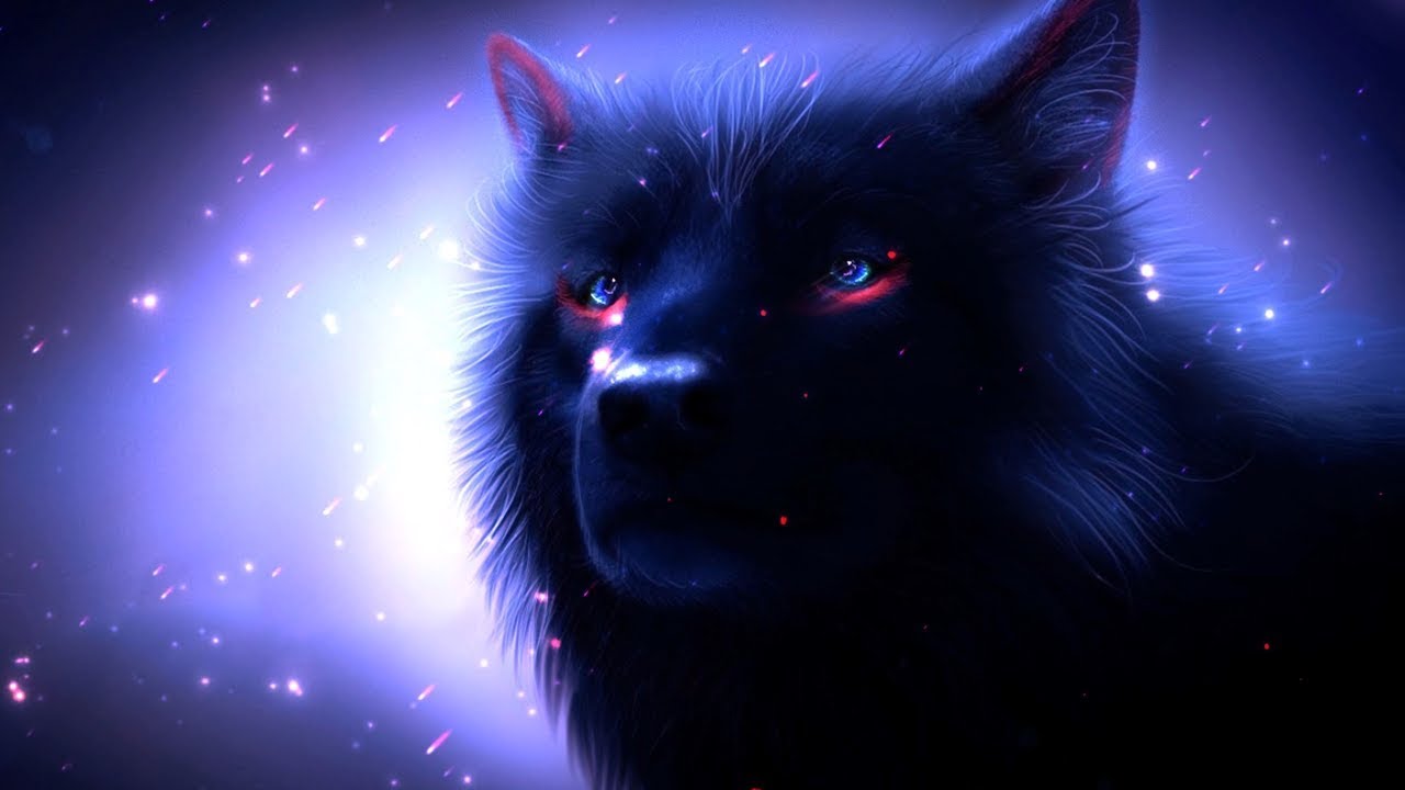 The Wolf Wallpapers