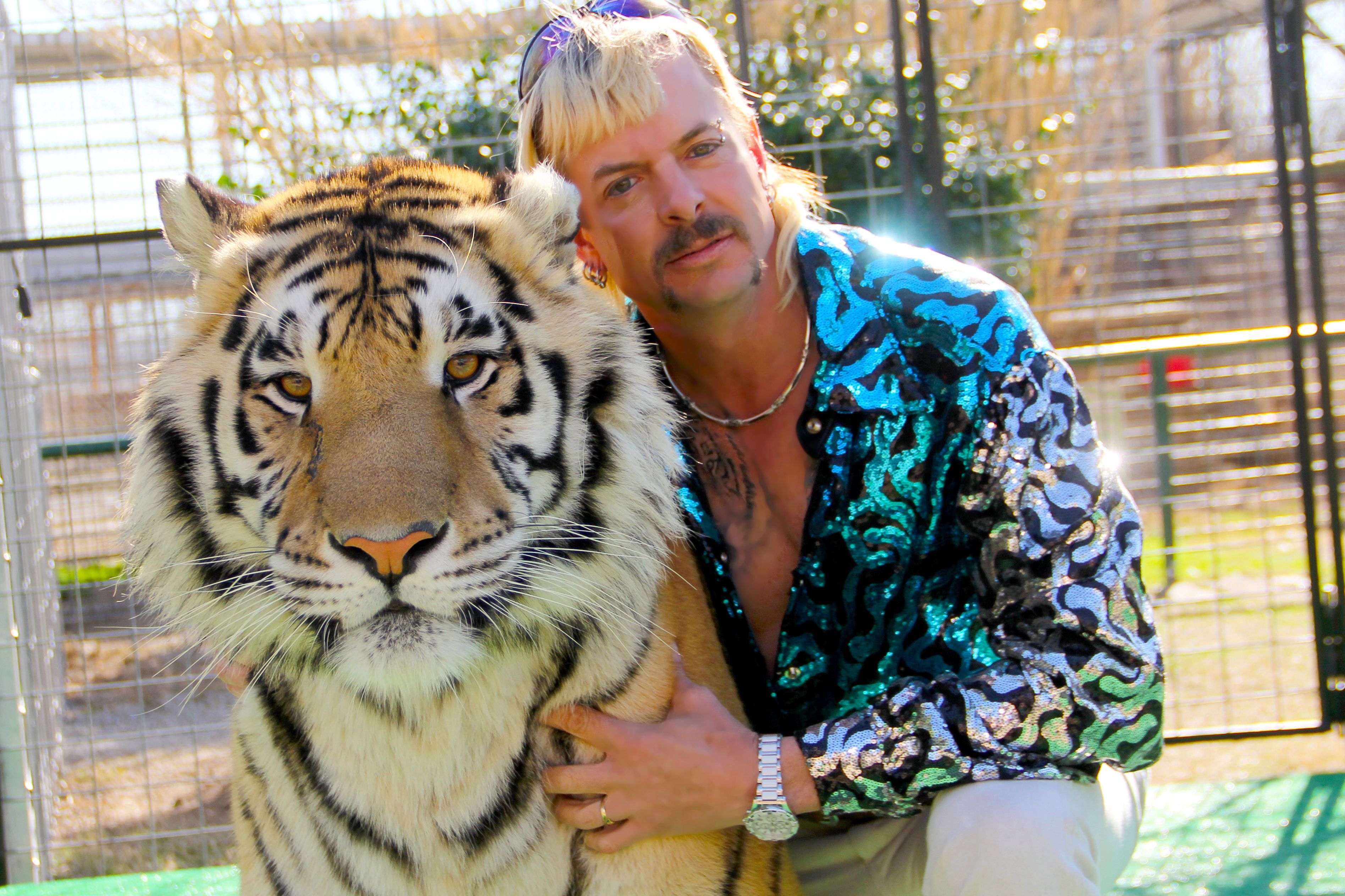 Tiger King Joe Exotic Wallpapers