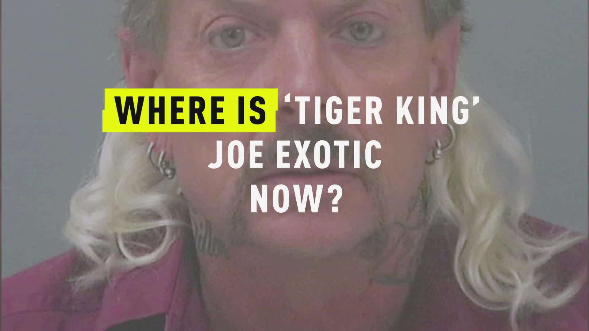 Tiger King Joe Exotic Wallpapers