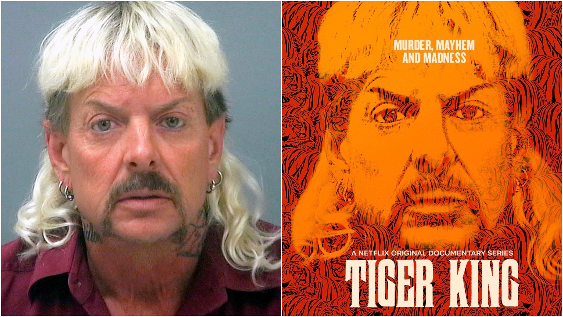 Tiger King Season 2 Wallpapers
