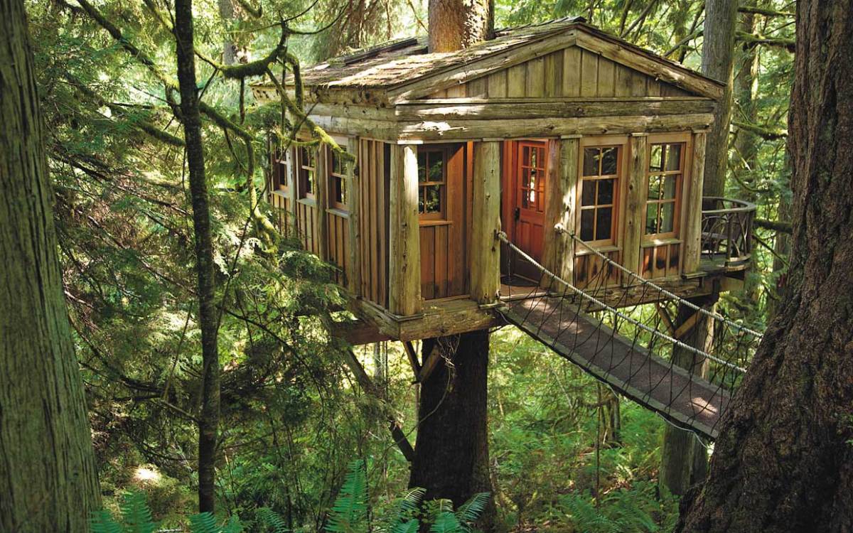 Treehouse Masters Wallpapers