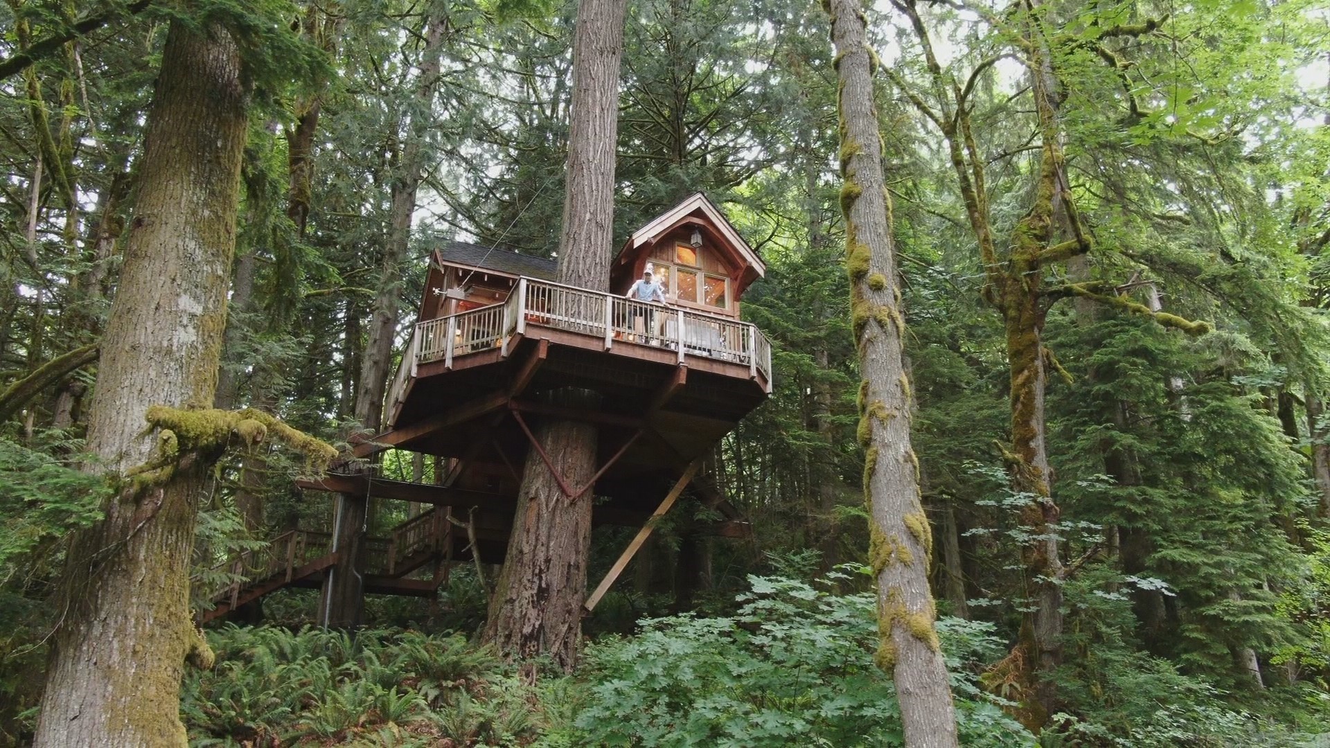 Treehouse Masters Wallpapers