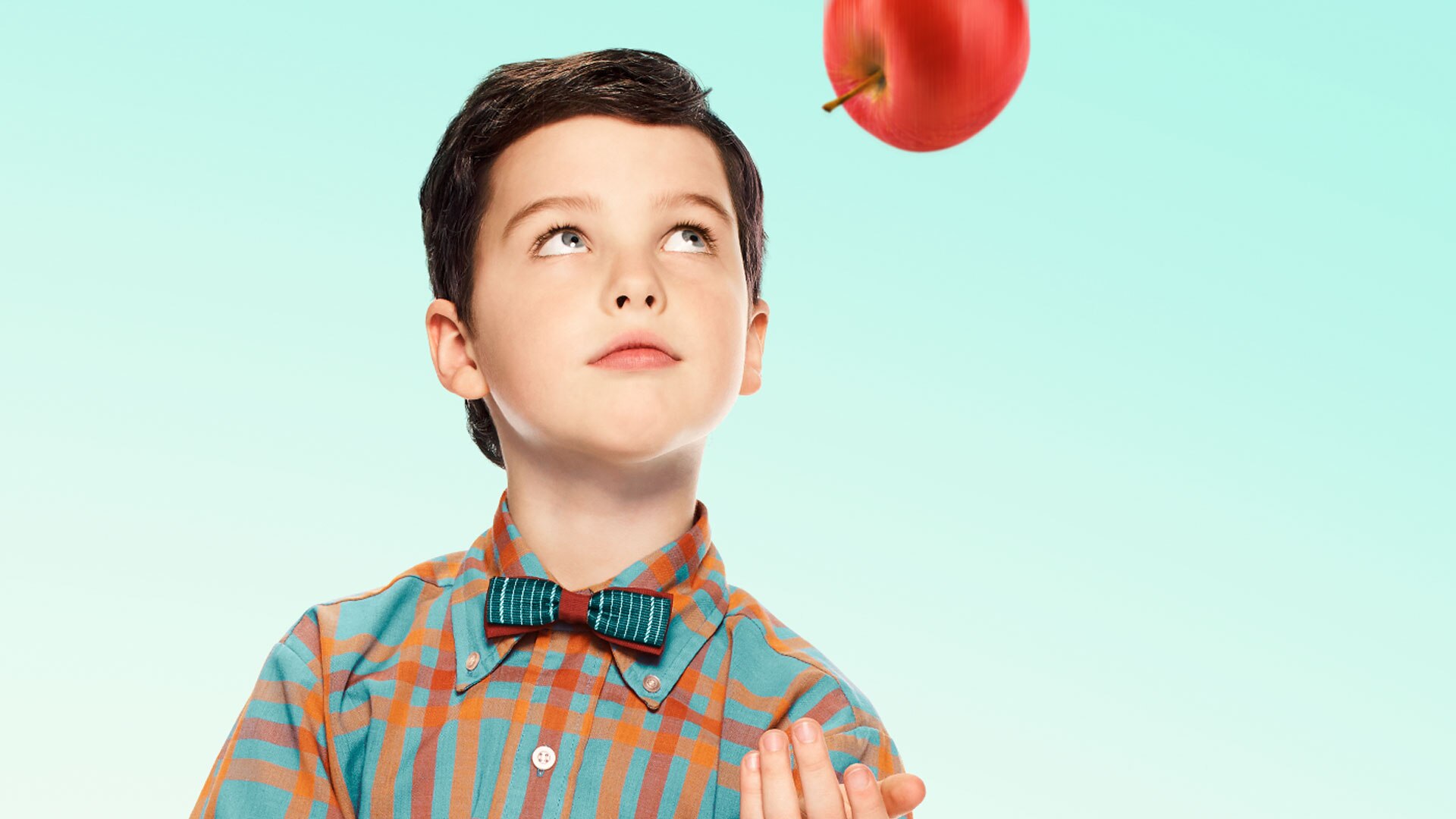 Young Sheldon Wallpapers