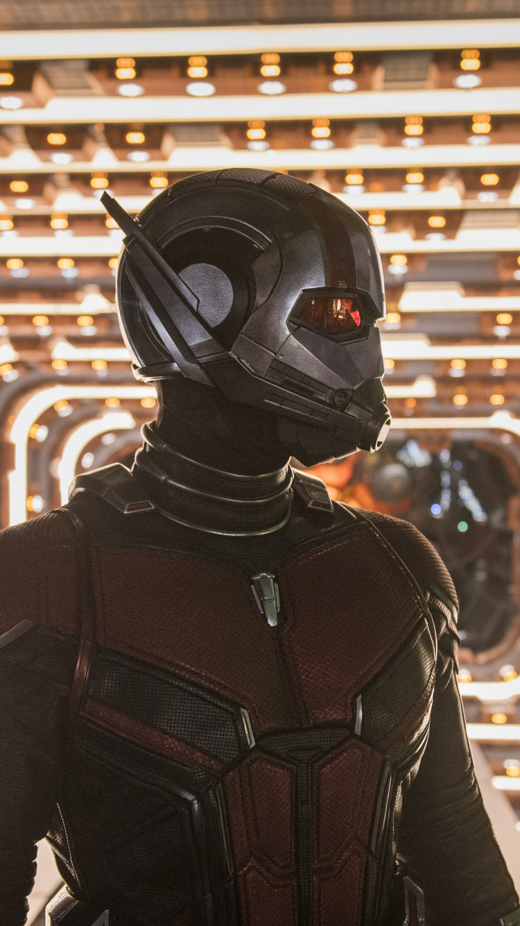 2018 Ant-Man And The Wasp Wallpapers