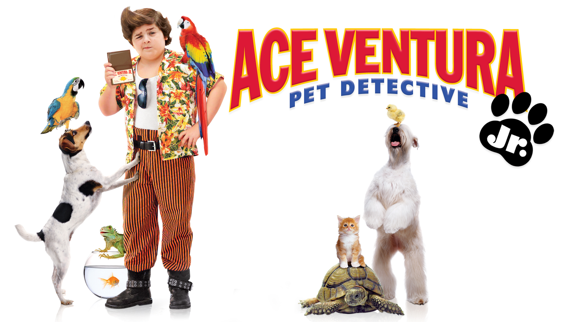 Ace Ventura: Pet Detective Wallpapers