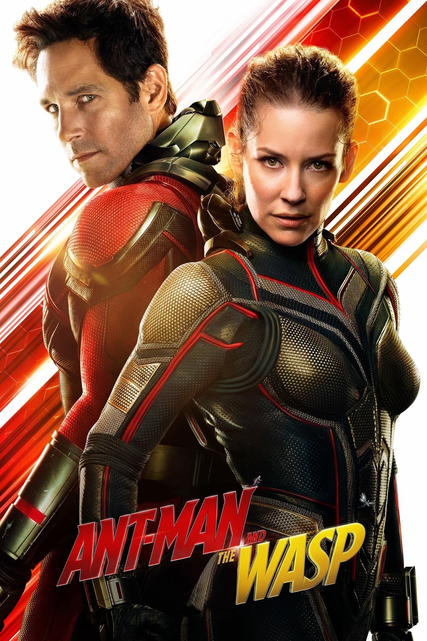 Ant-Man And The Wasp 2018 Movie Wallpapers