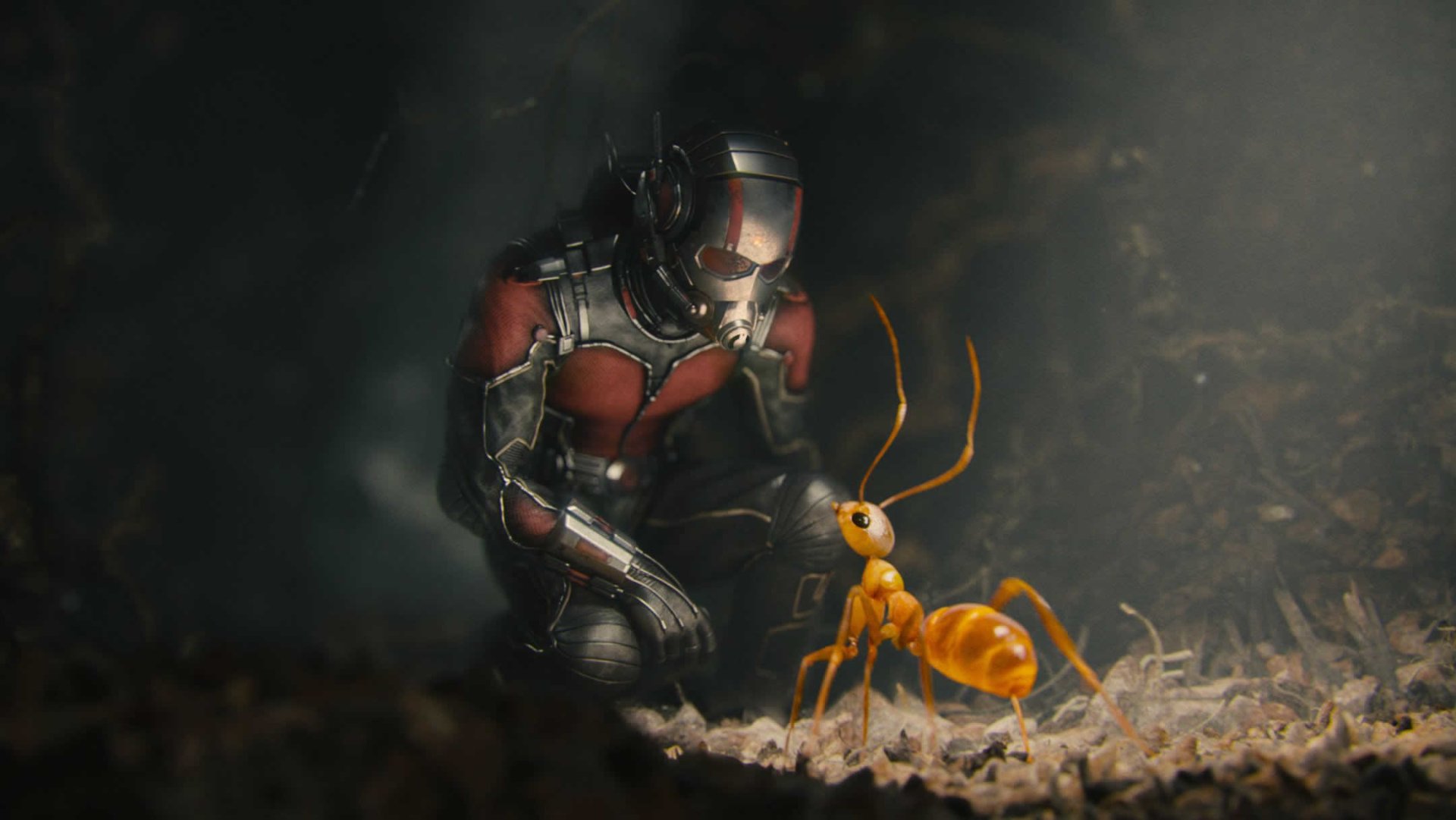 Ant-Man Artwork Wallpapers