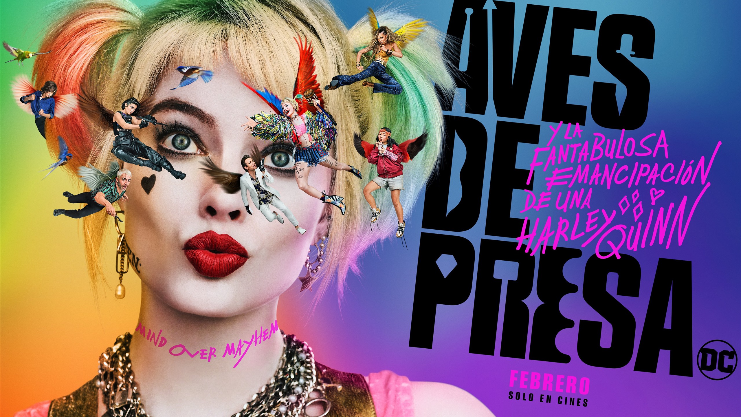 Birds Of Prey New Banner Wallpapers