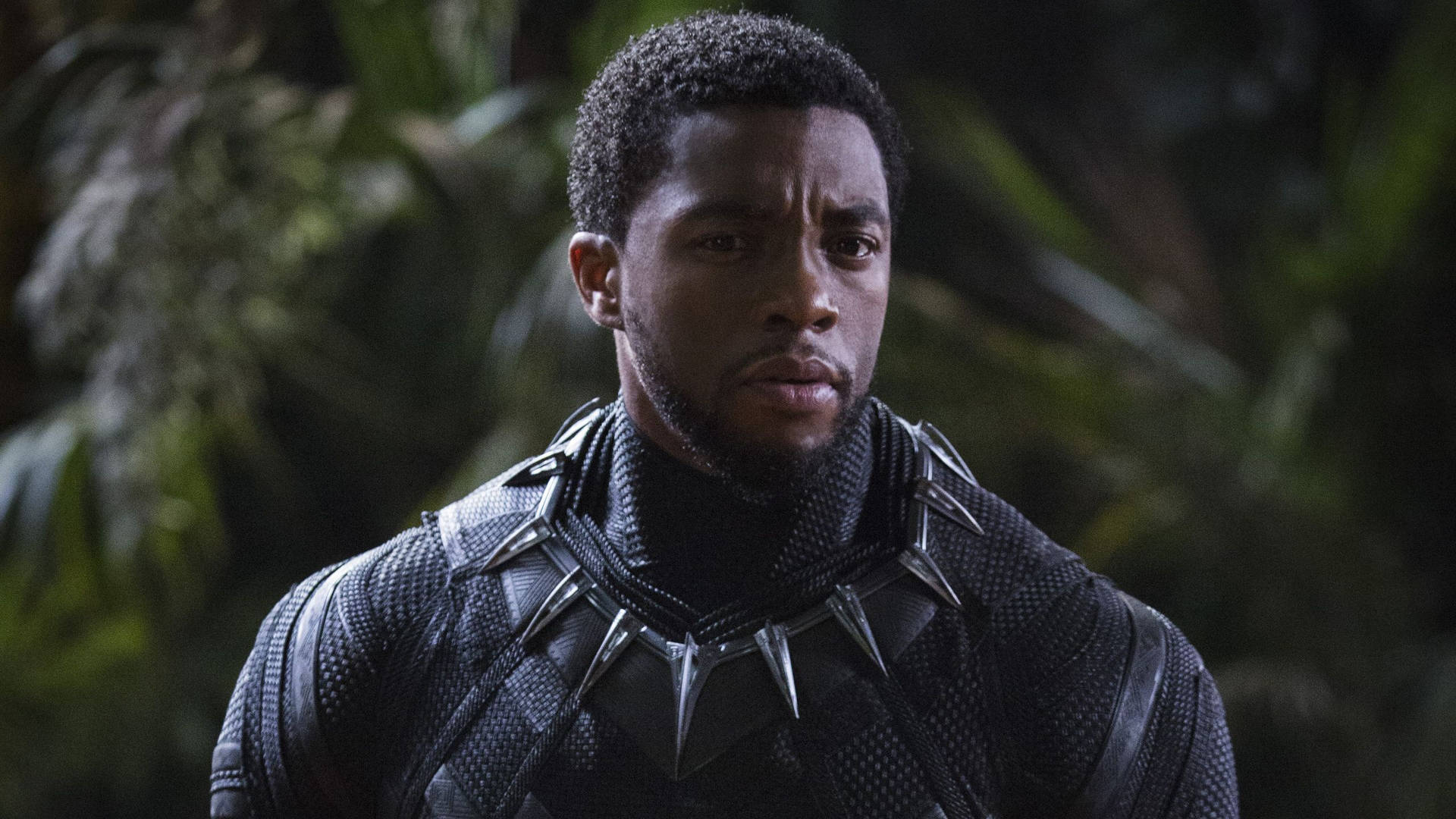 Chadwick Boseman In Ma Raineyвђ™S Black Bottom Wallpapers