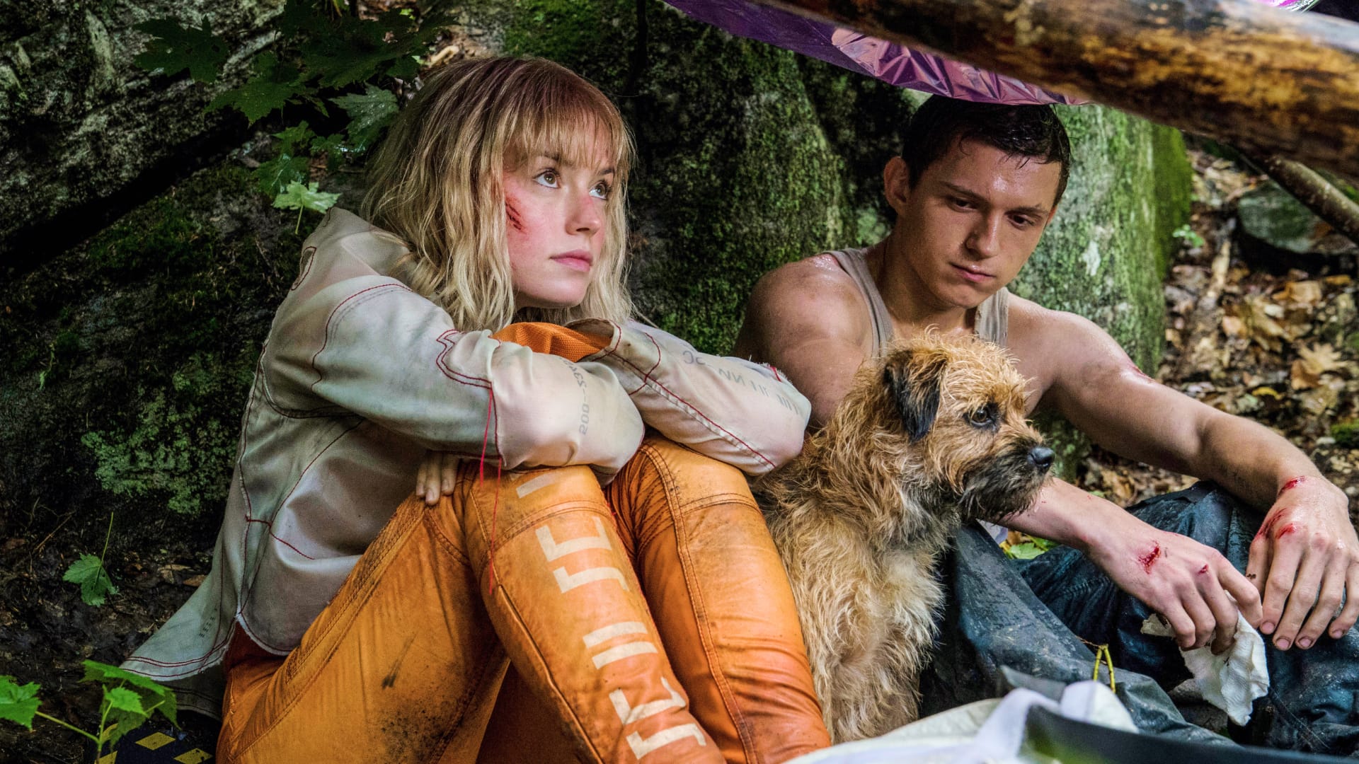 Chaos Walking 2021 Wallpapers