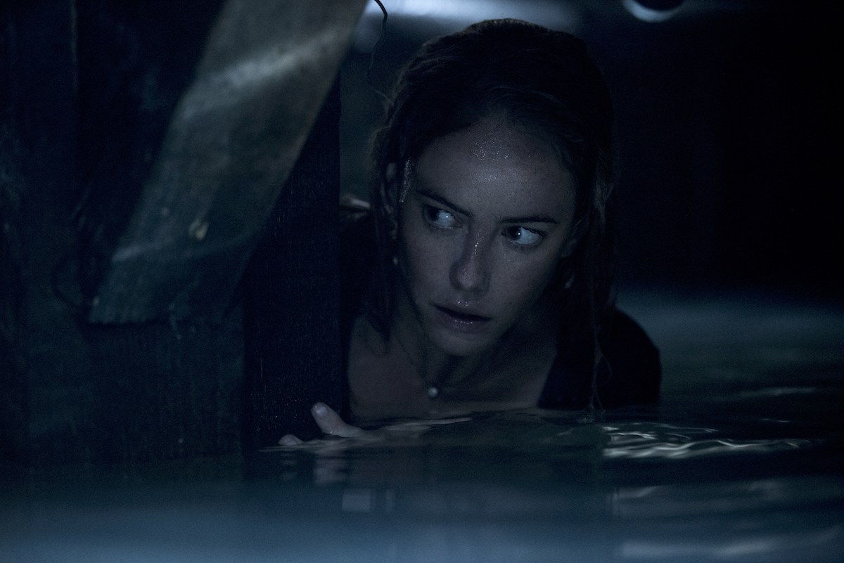 Crawl Movie Kaya Scodelario Wallpapers