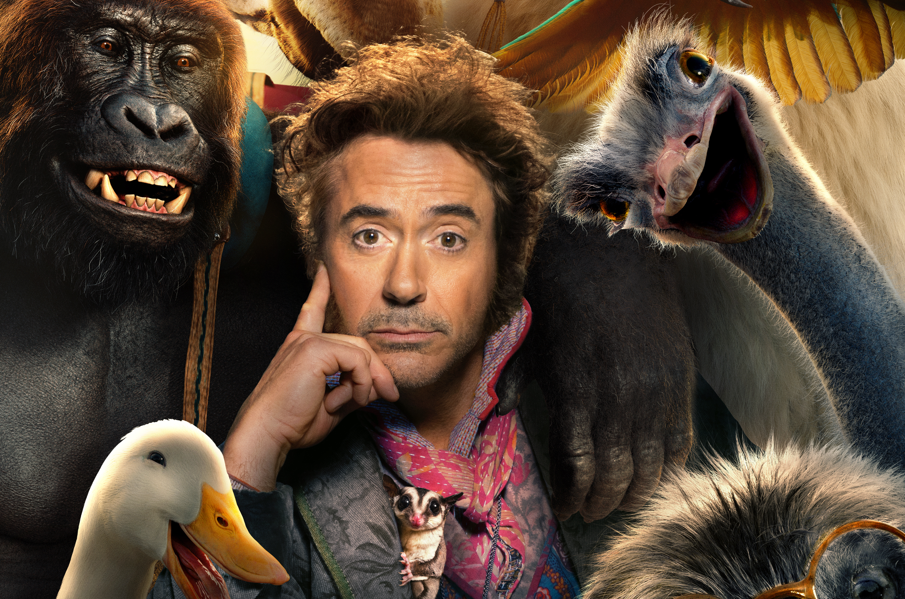 Dolittle Movie 4K 8K Wallpapers