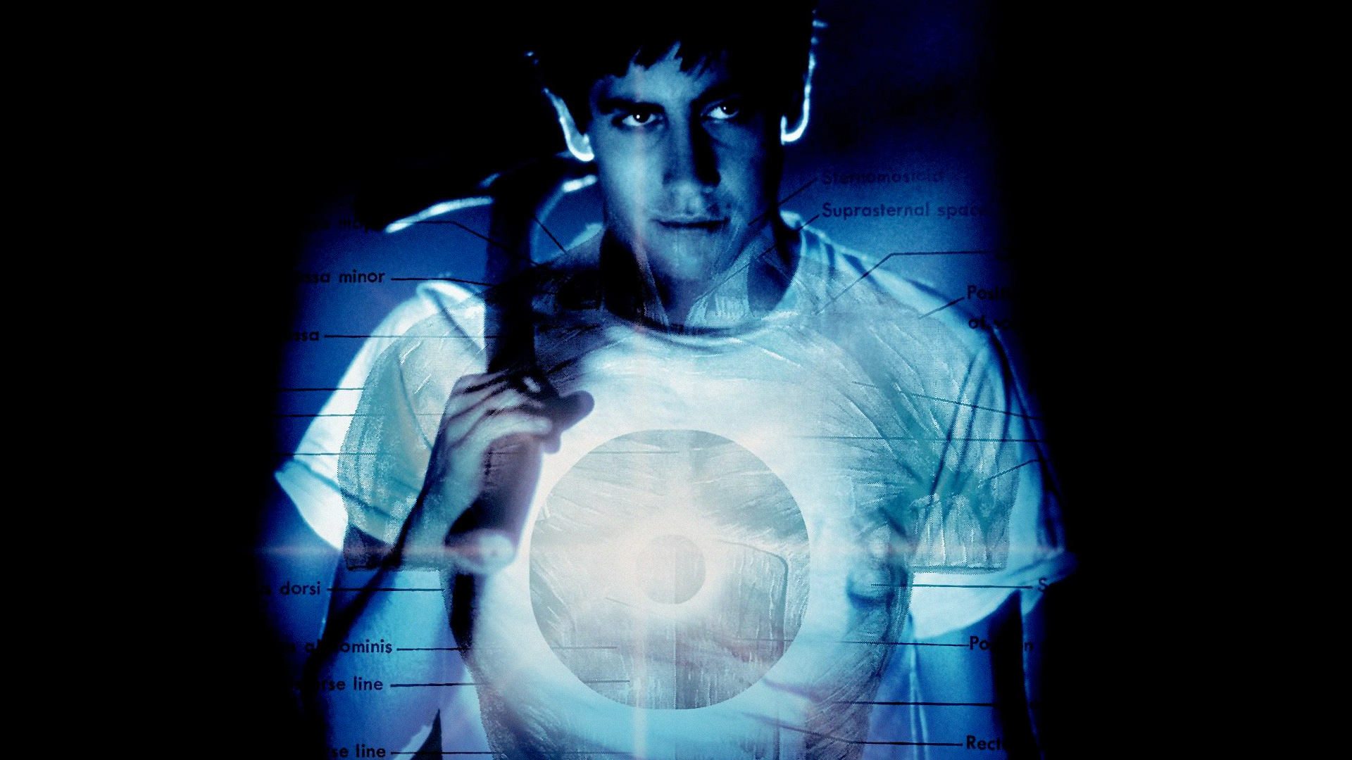 Donnie Darko Wallpapers