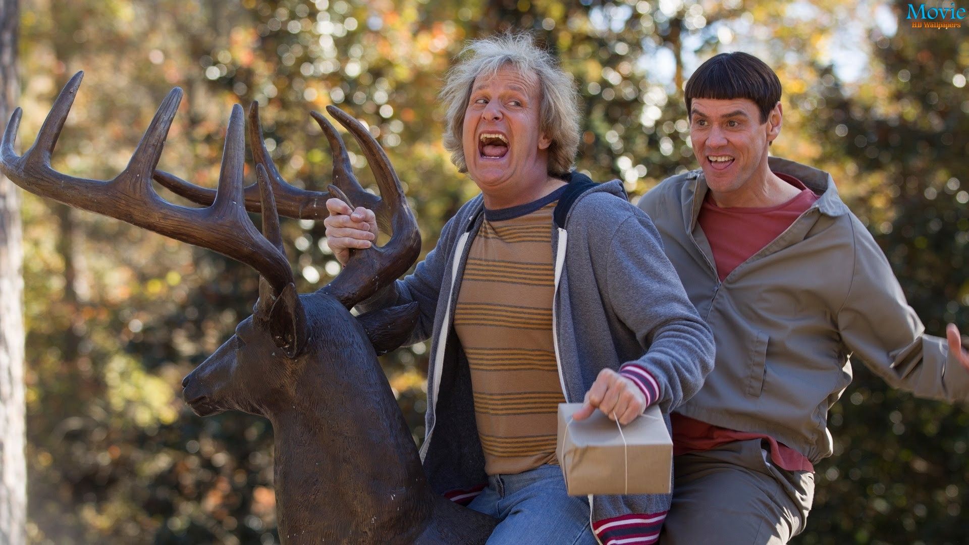 Dumb And Dumber Wallpapers