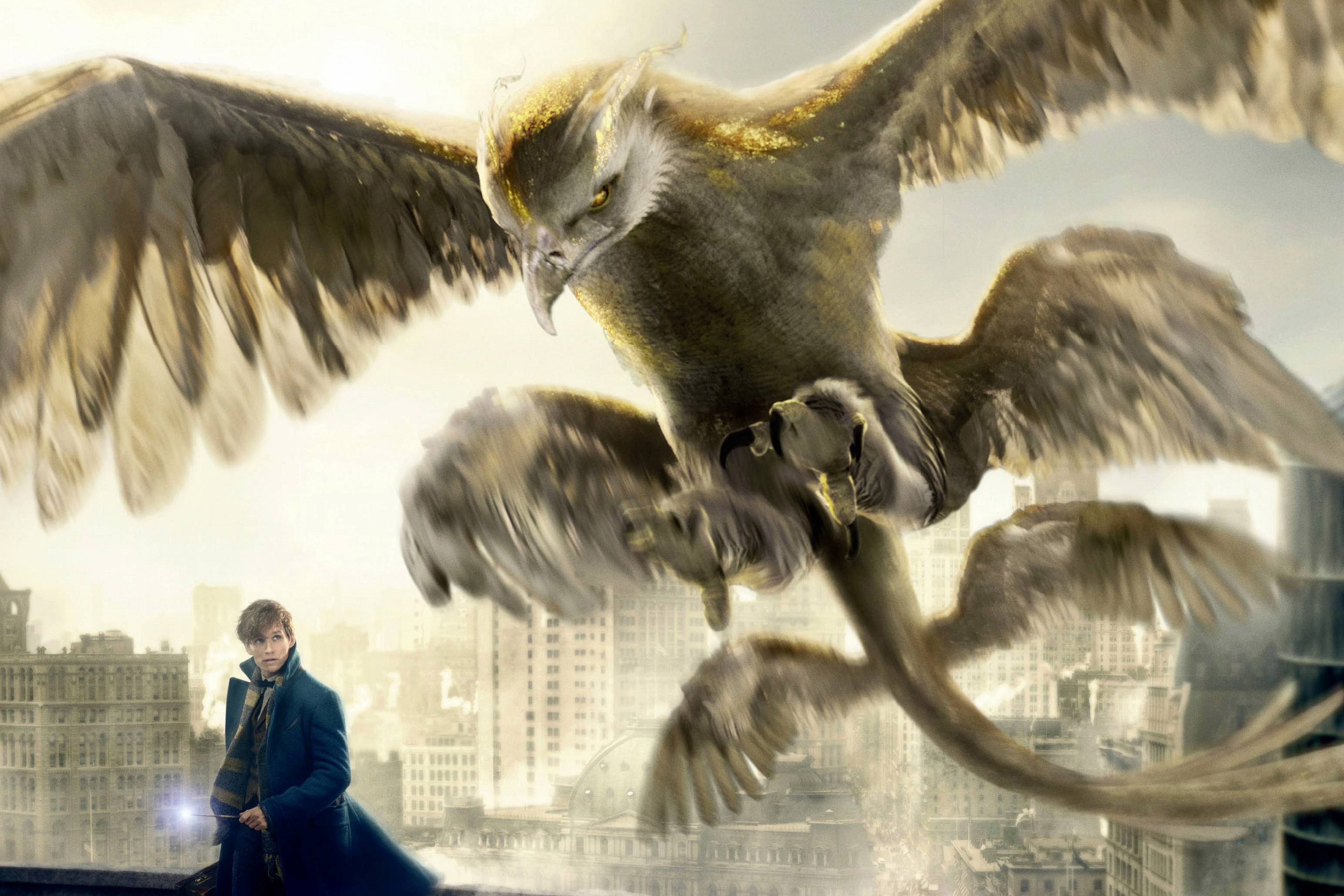 Fantastic Beasts And Where To Find Them Wallpapers